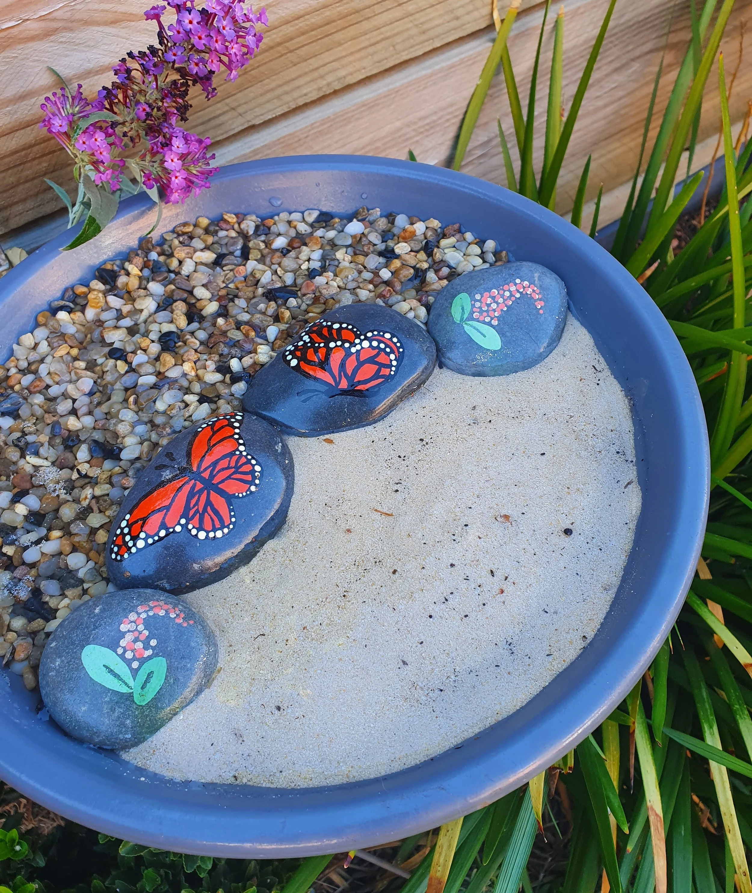 Butterfly and Moth Puddling Station