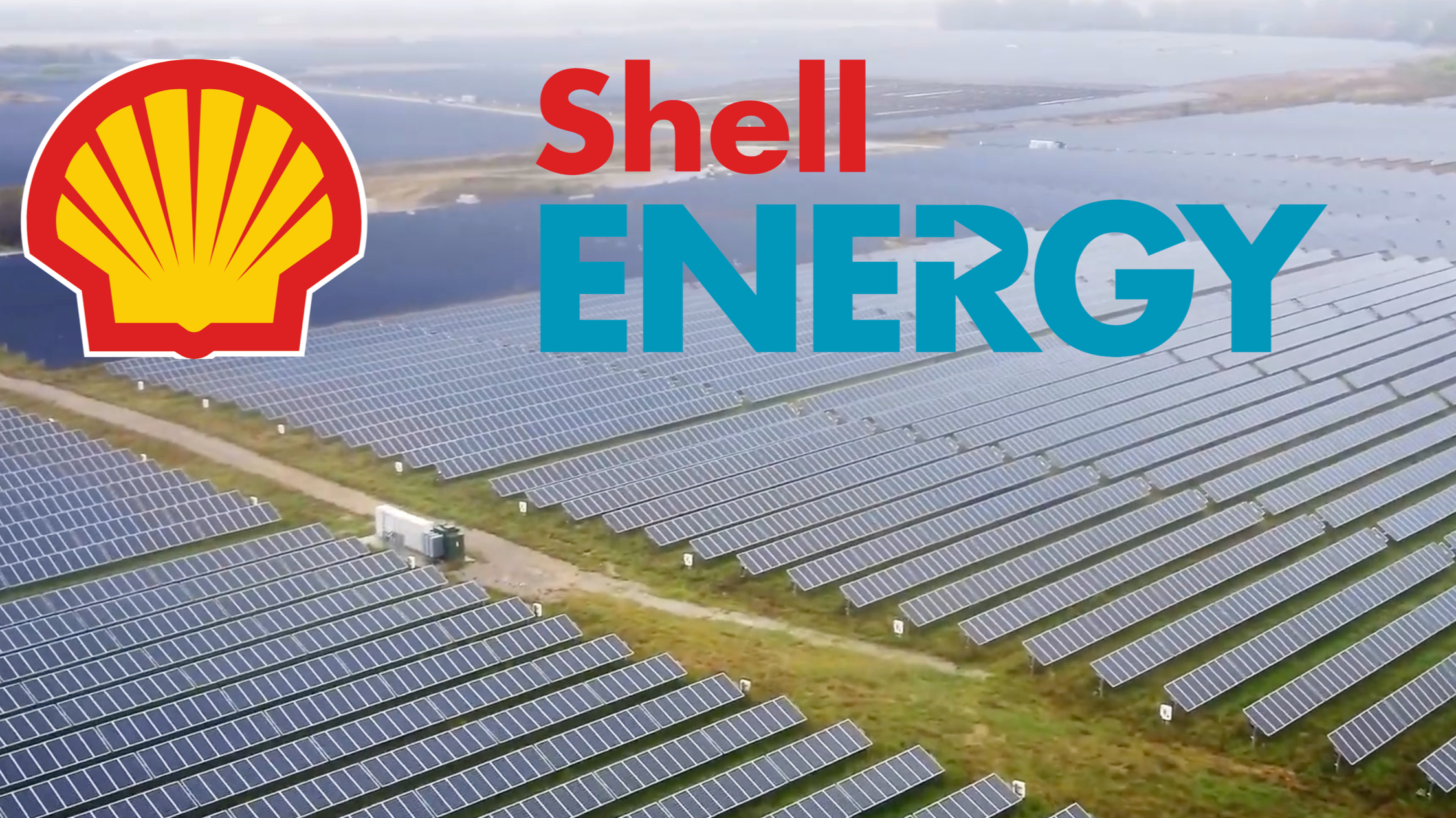 Shell Energy.png