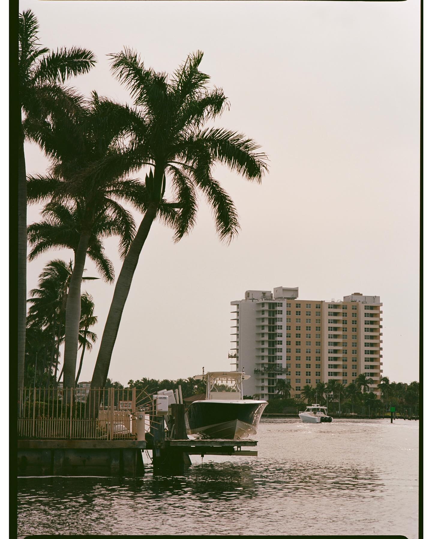 🛥️ More Medium Format Film - If you like these and missed my last post at flamingo gardens, be sure to check that one out as well! Shot on Ektar 100 🎞️

#mamiya645 #mediumformat #645film #ektar100 #film #filmphotography #shootfilm #pompano #pompano