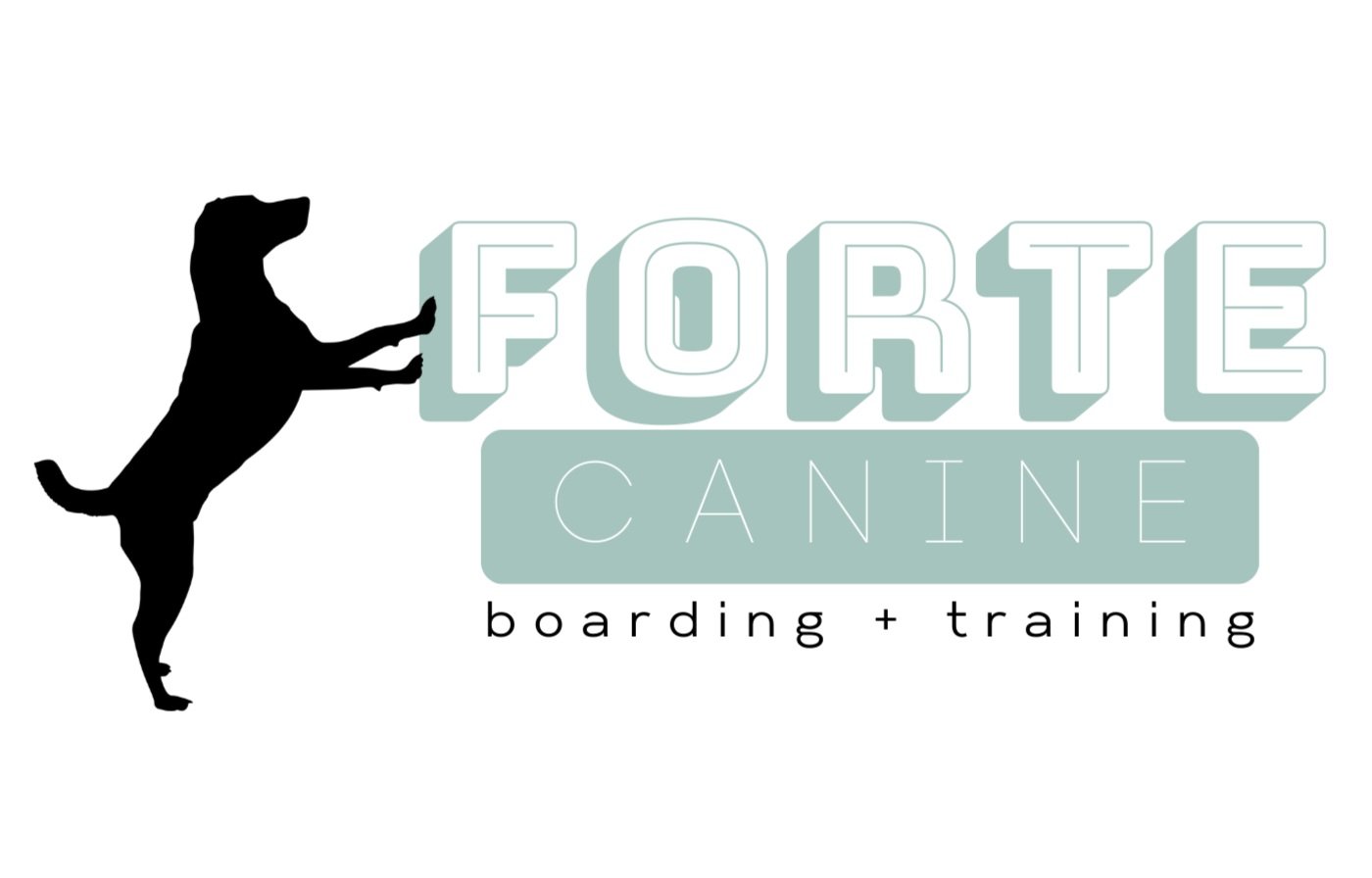 Forte Canine