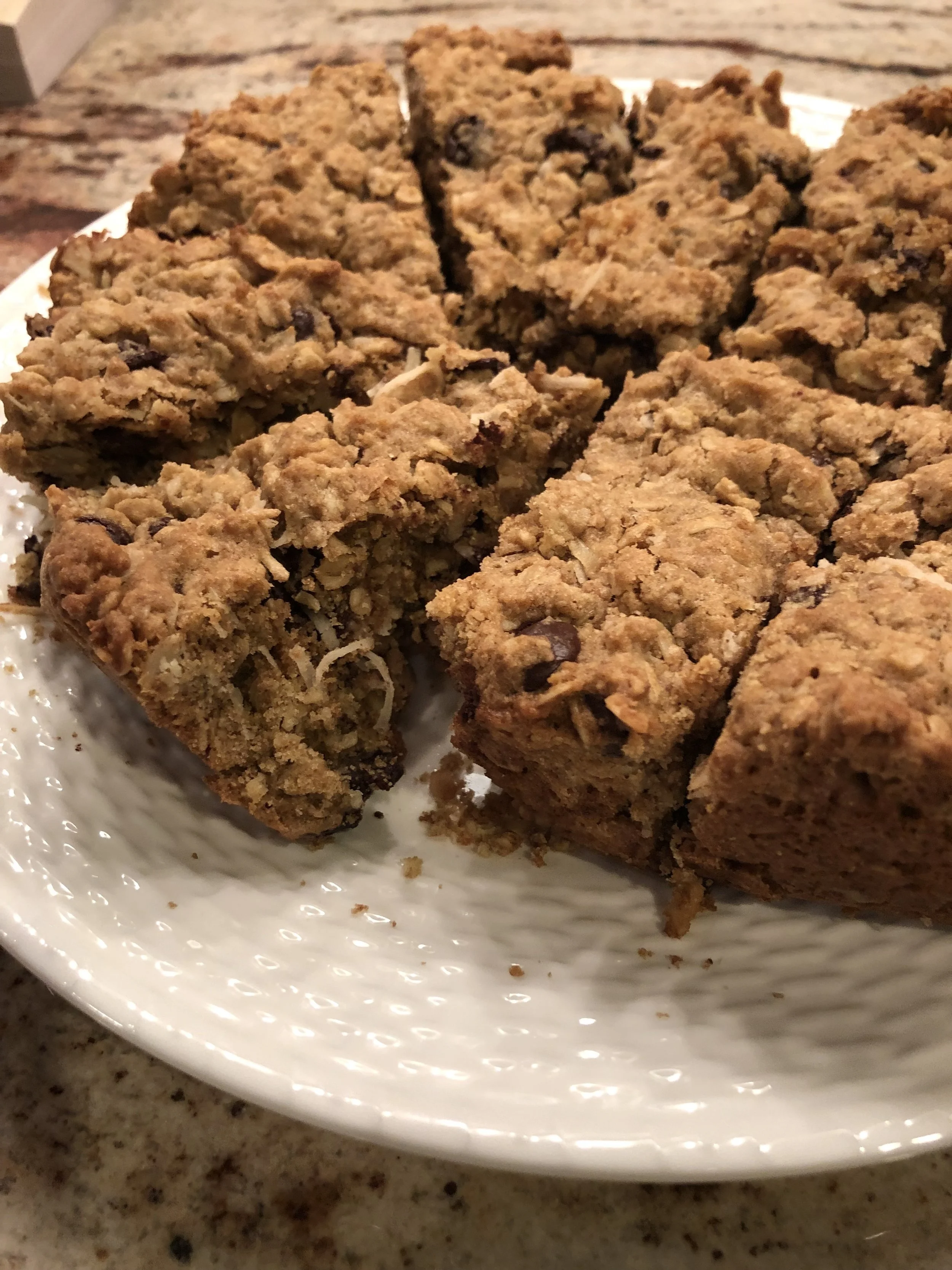 Oatmeal Bars with Coconut and Dark Chocolate Chips