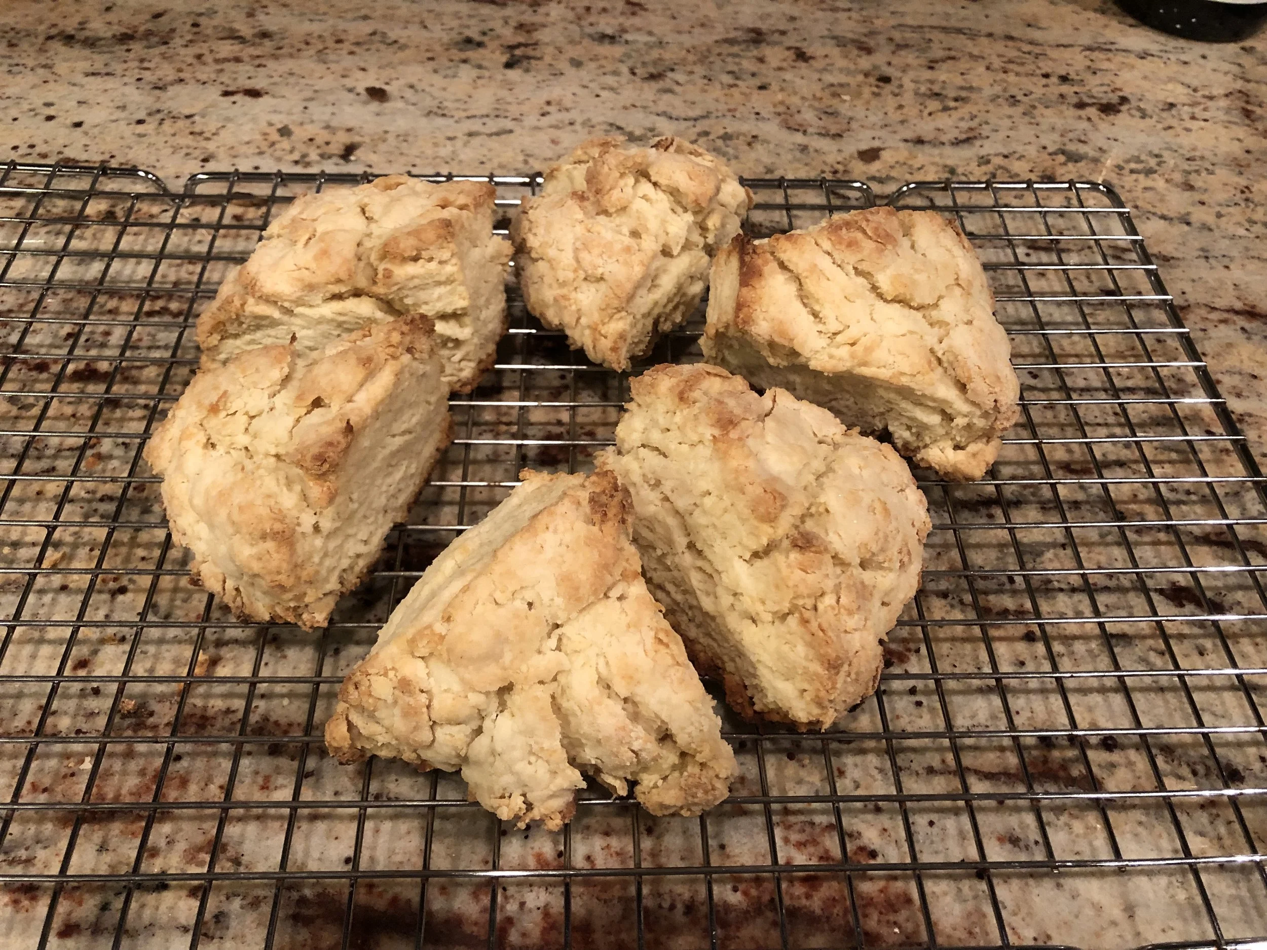 Plain Scones