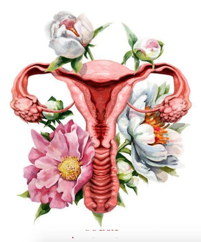 Body Literacy Courses for Sexual Sovereignty Private Consults