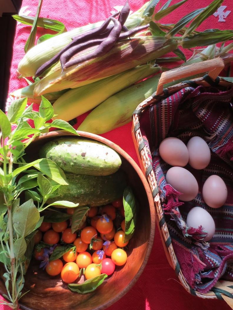 Observing Nature Within and Without Medicine of the Feminine