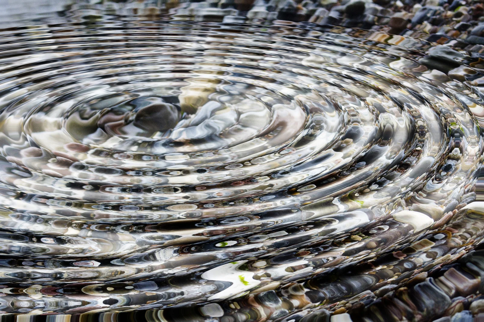 circles+in+water.jpg