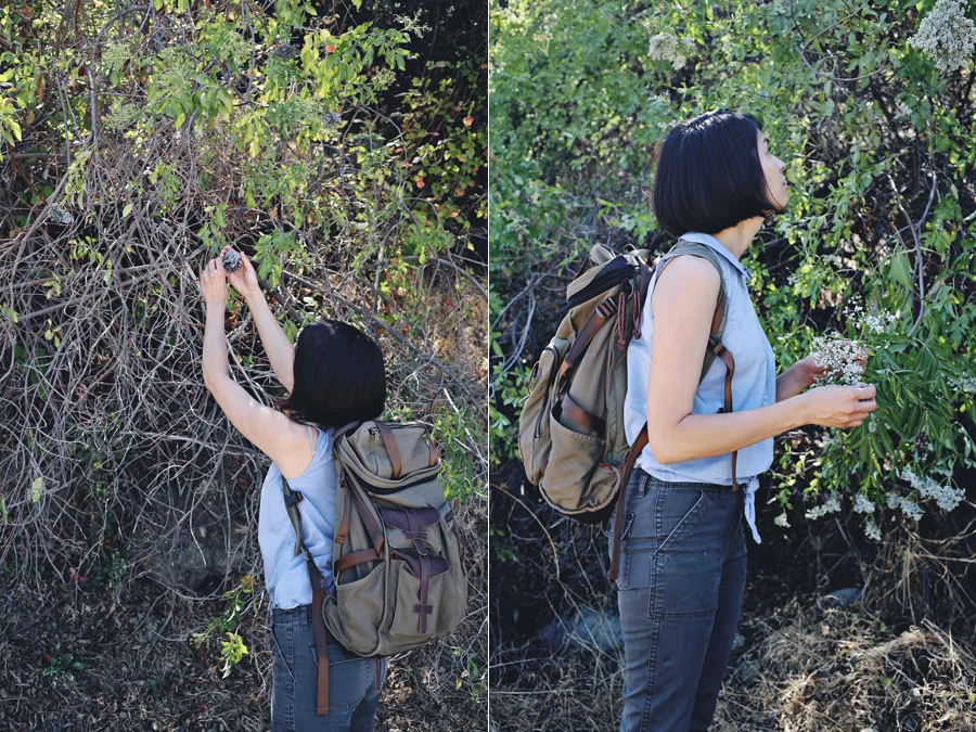 Foraging With Emily Han | Dine X Design