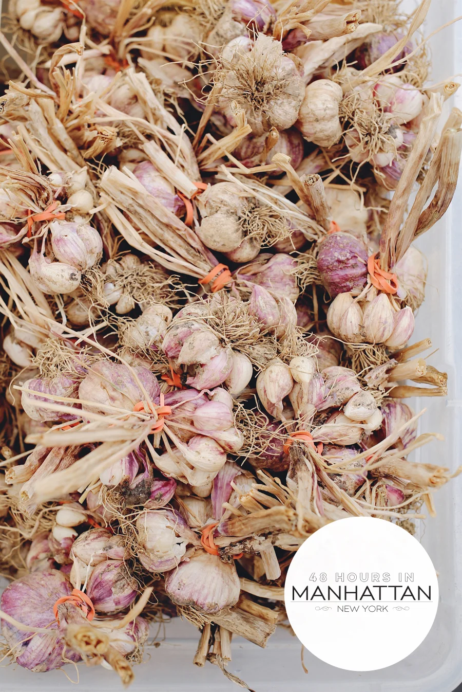 Miele Culinary Adventure | New York
