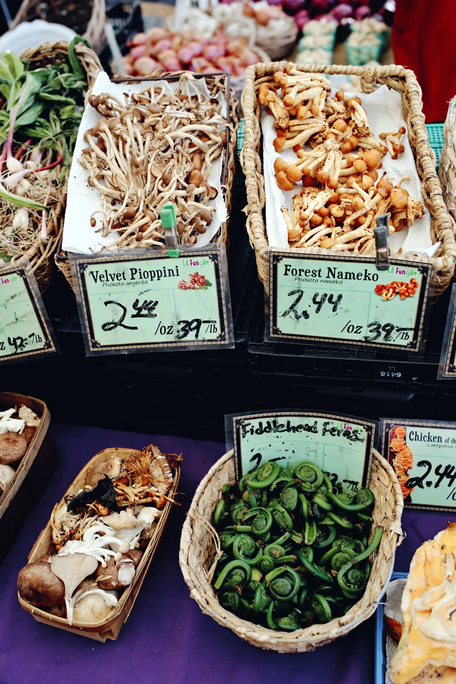 South Pass Farmers Market | Dine X Design