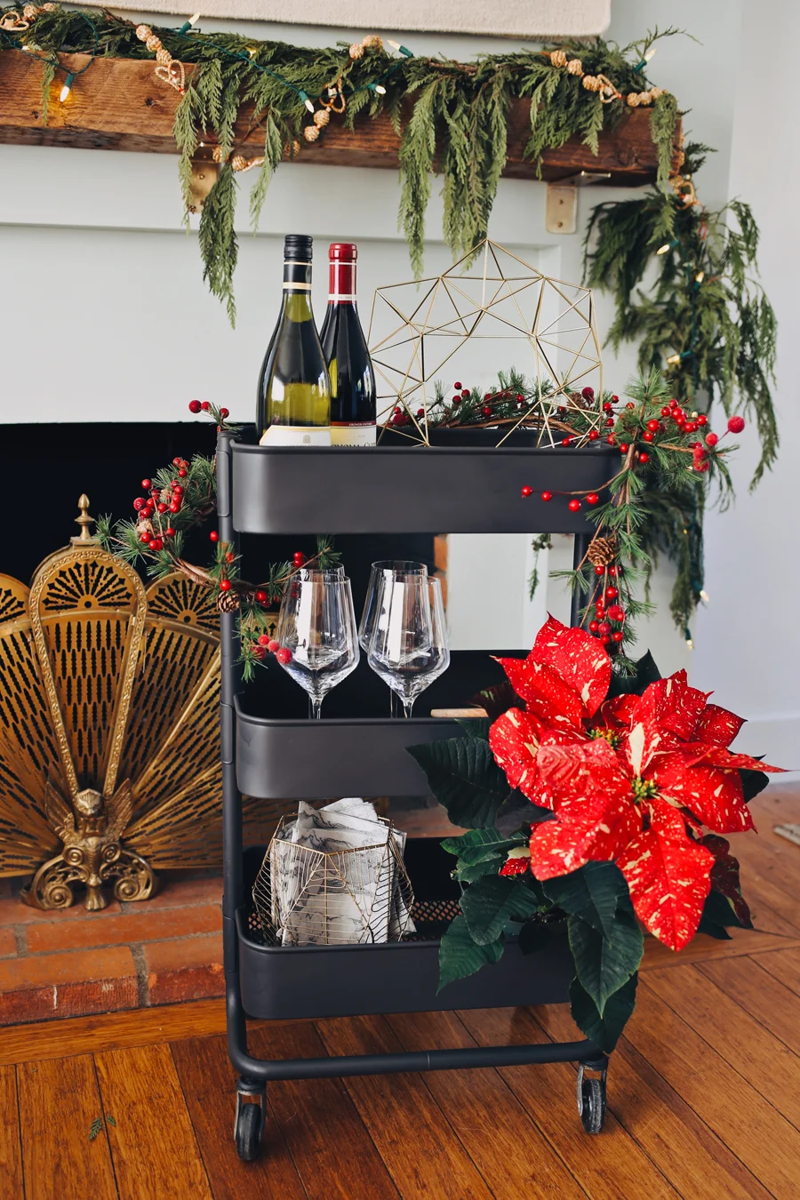 02_Bar-Cart-Wine-Tasting-Party.jpg