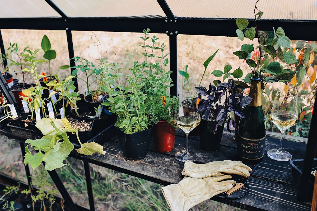 06_Plant Care Watering & Wine | Dine X Design.jpg