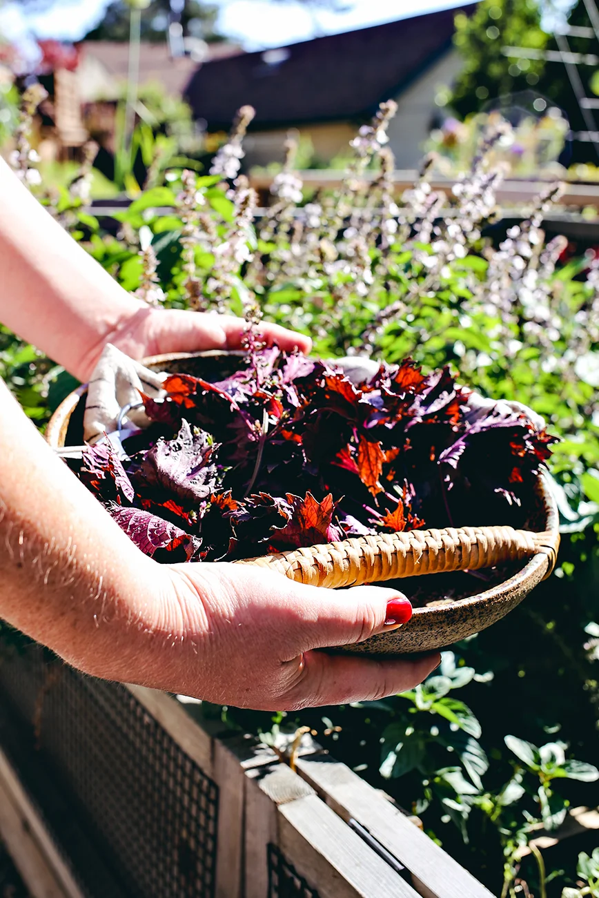 05_Grow it Shiso_Strawberry Miso Wraps.jpg