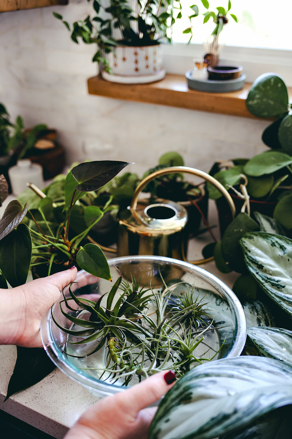 04_Plant Care Watering & Wine | Dine X Design.jpg
