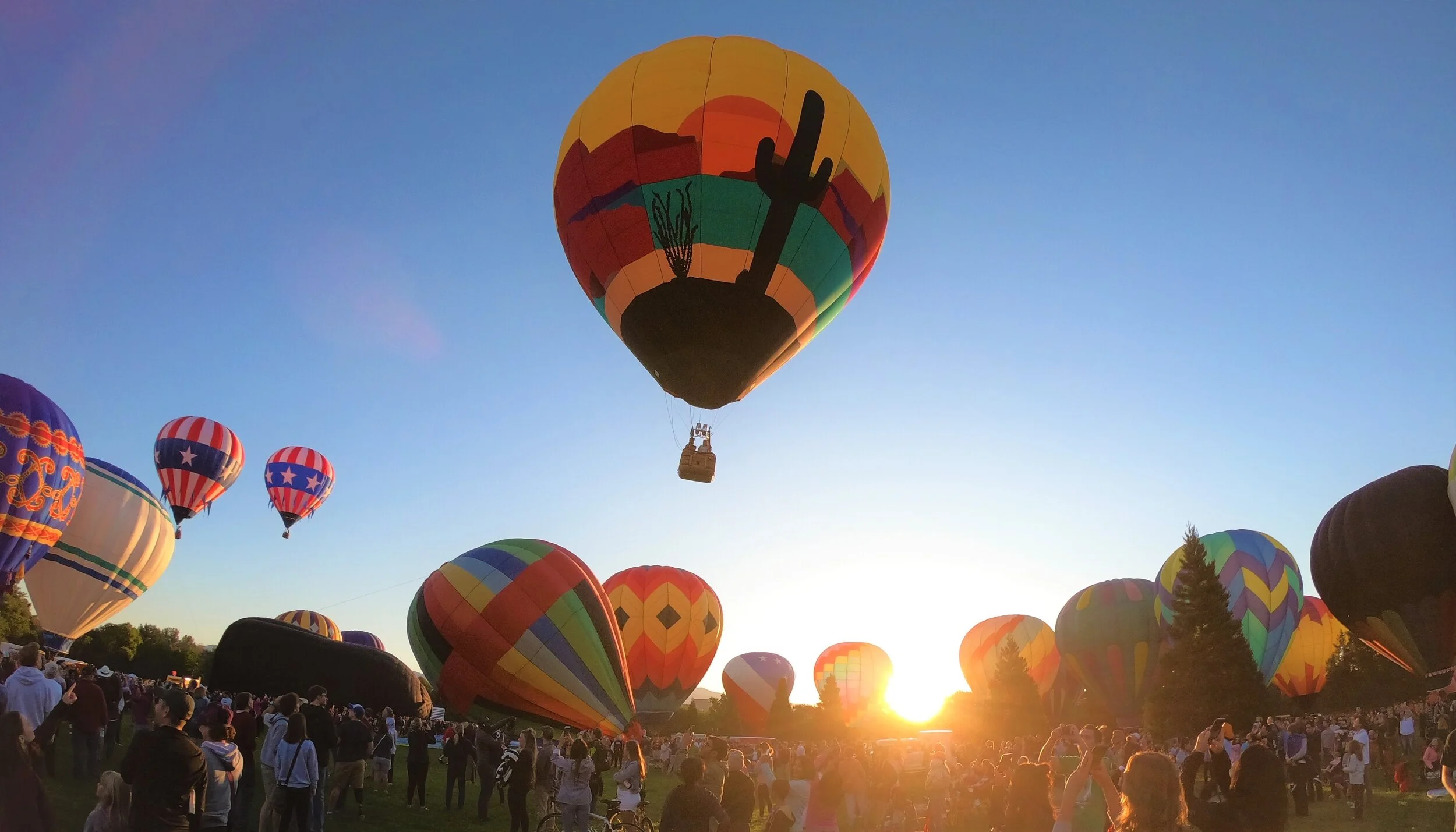 hot air balloons.jpg