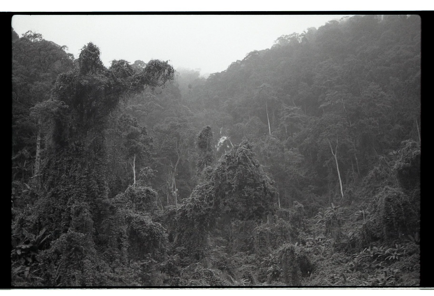 NAMBALI097.jpg