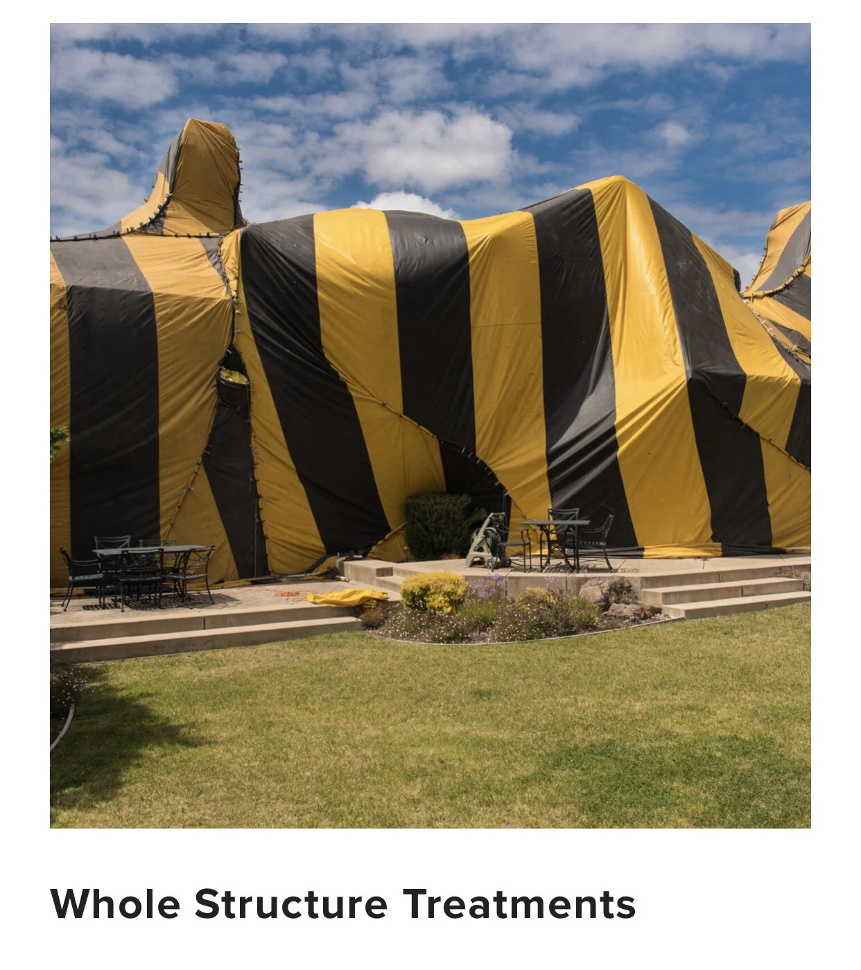 Entire Area Heat Treatments for Pests