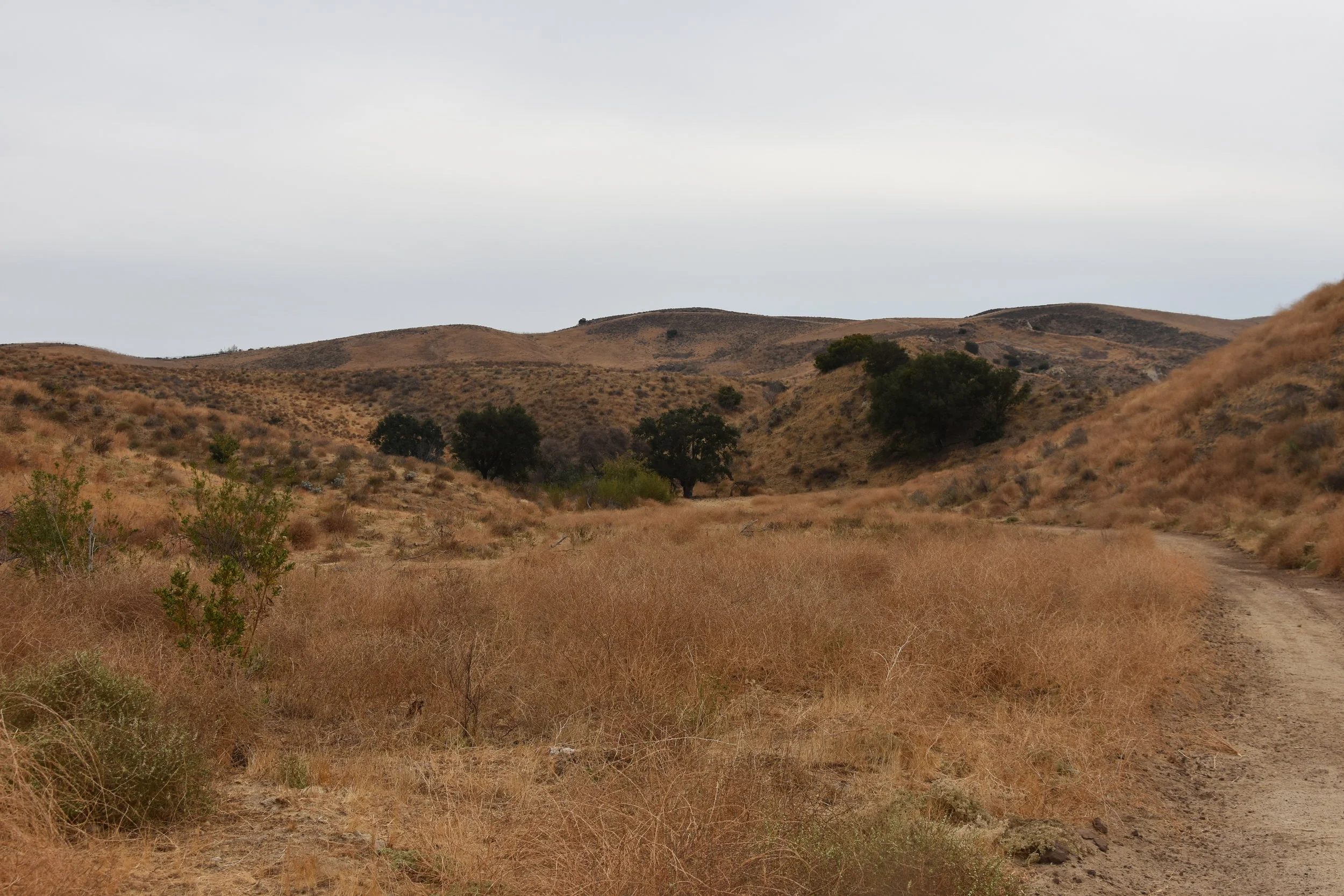 DSC_2361.JPG