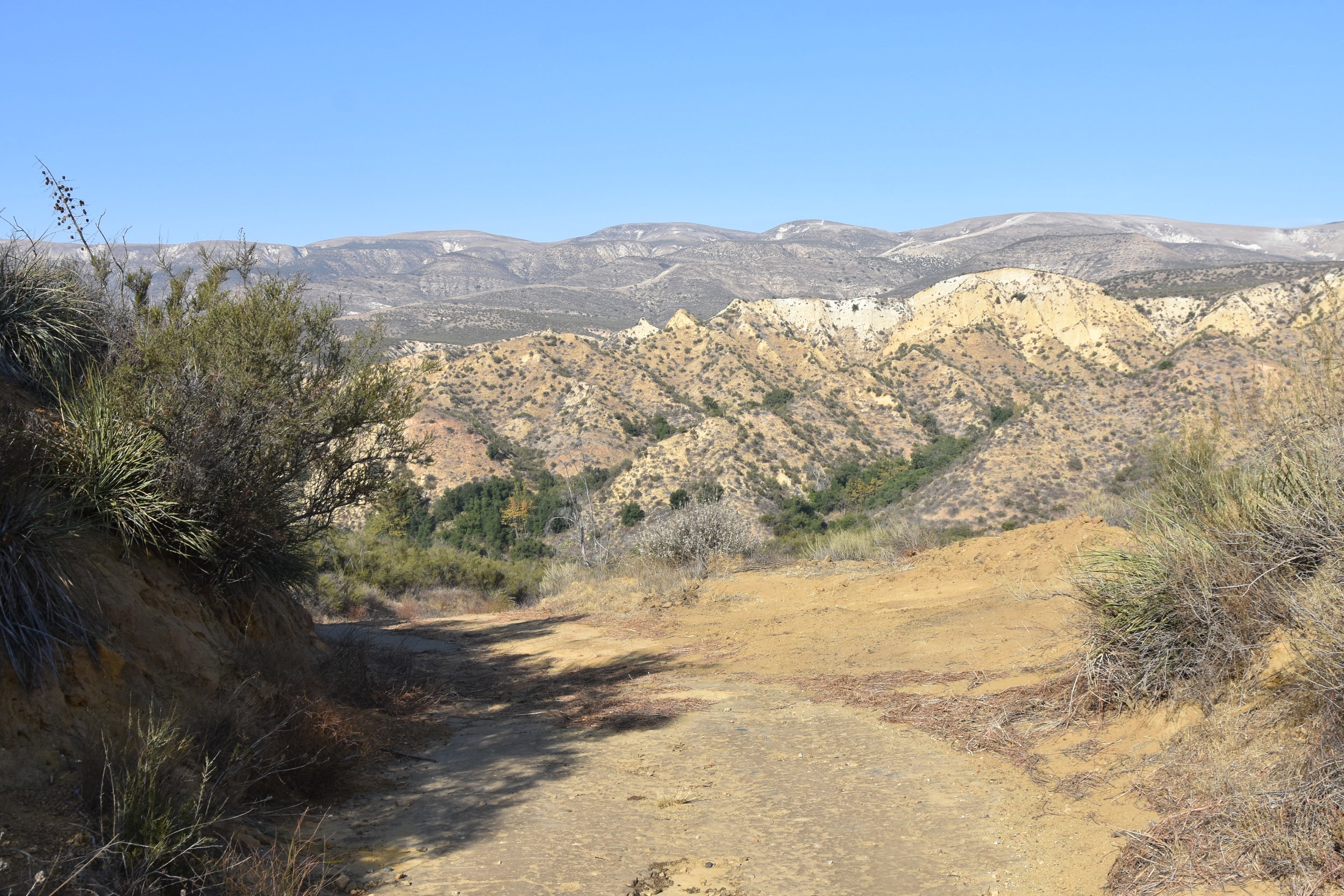 DSC_9124.JPG