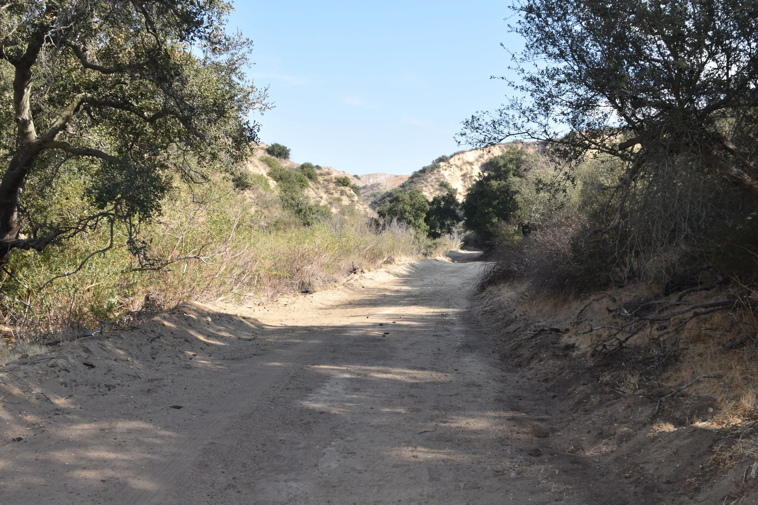 DSC_9143.JPG