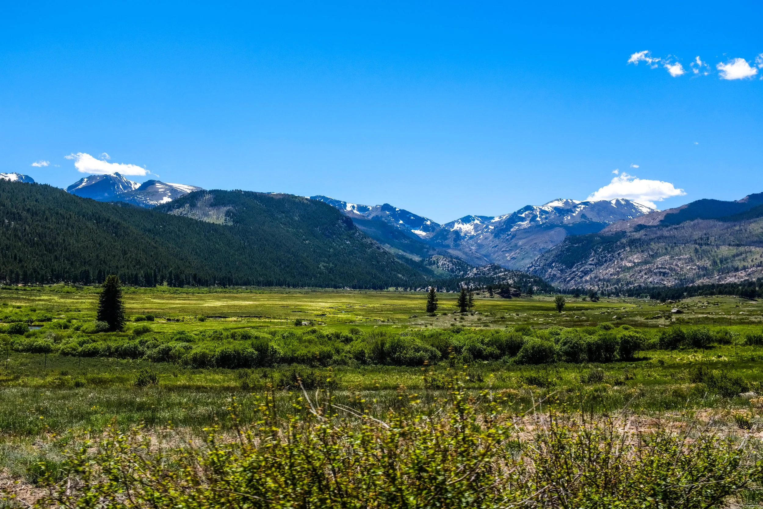 Colorado2026-davidscottophoto-49.JPG