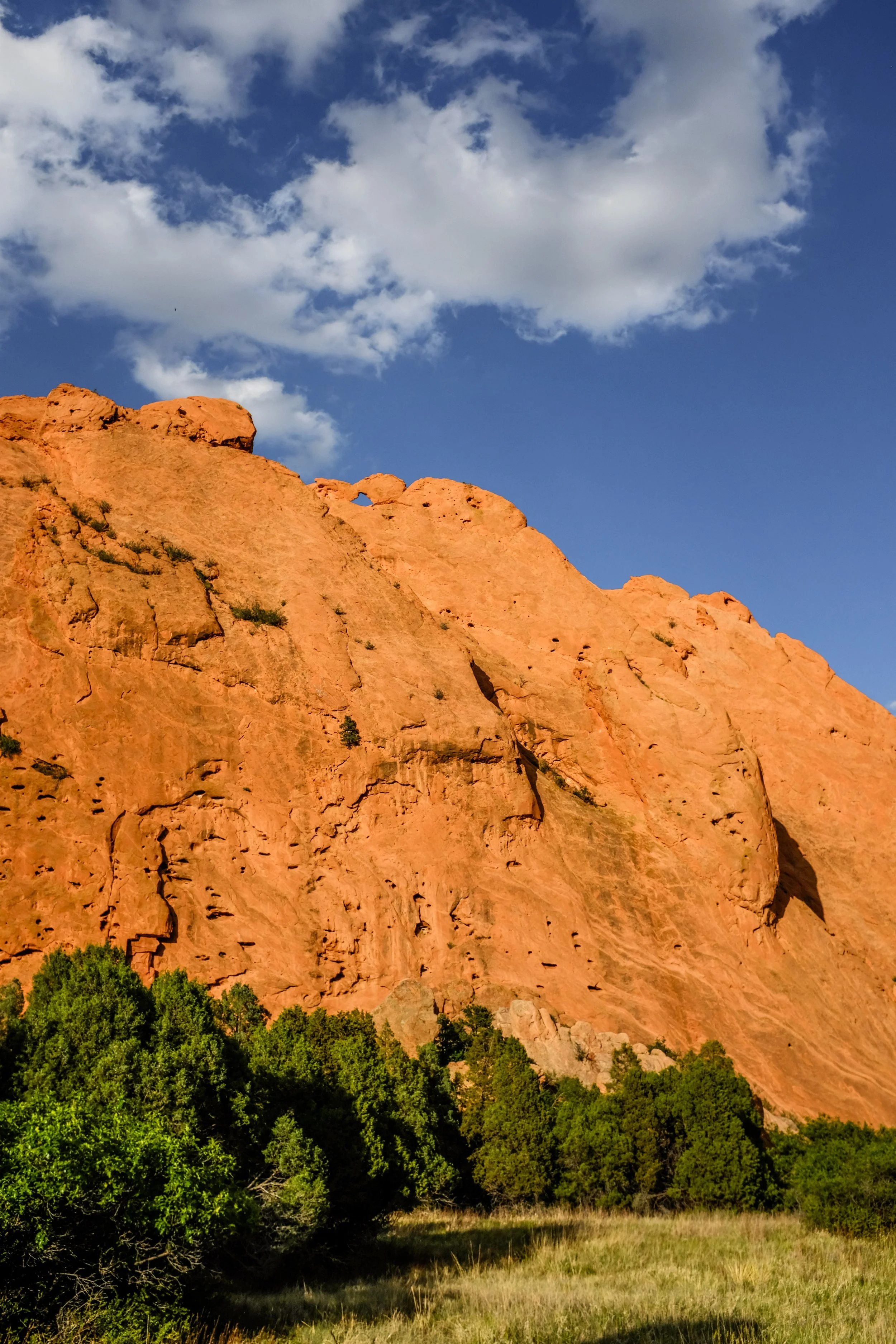 Colorado2026-davidscottophoto-153.JPG