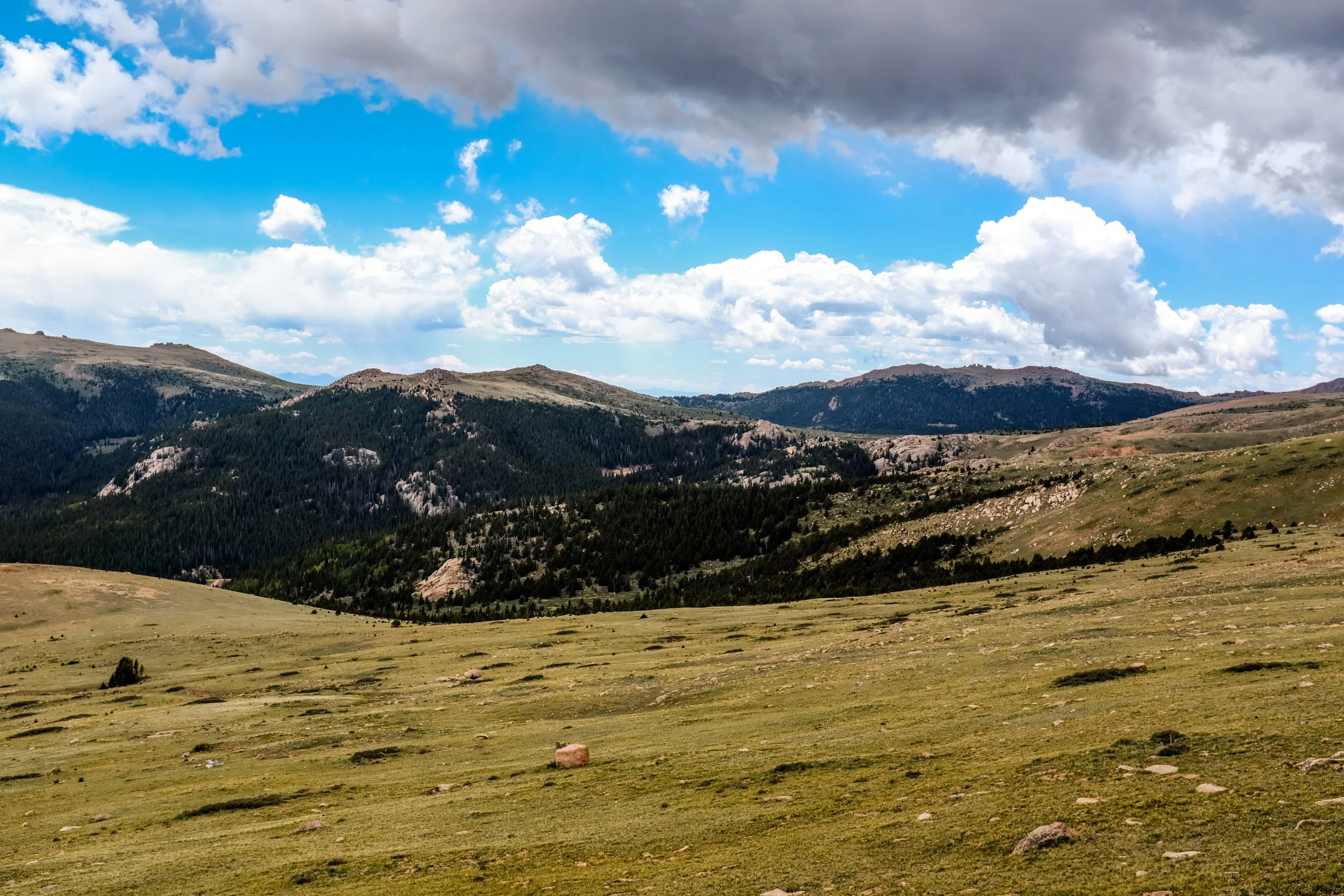 Colorado2026-davidscottophoto-131.JPG