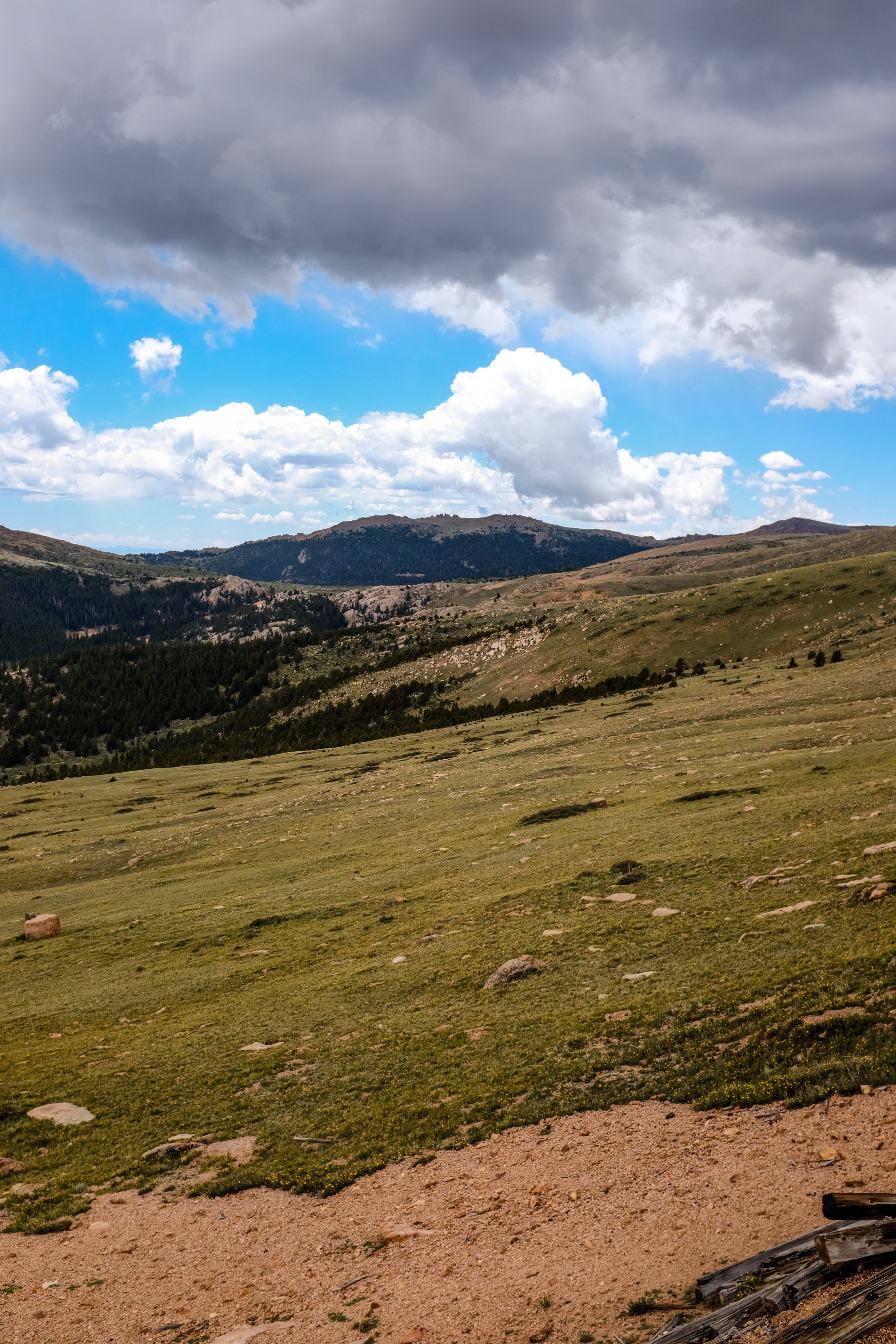 Colorado2026-davidscottophoto-130.JPG