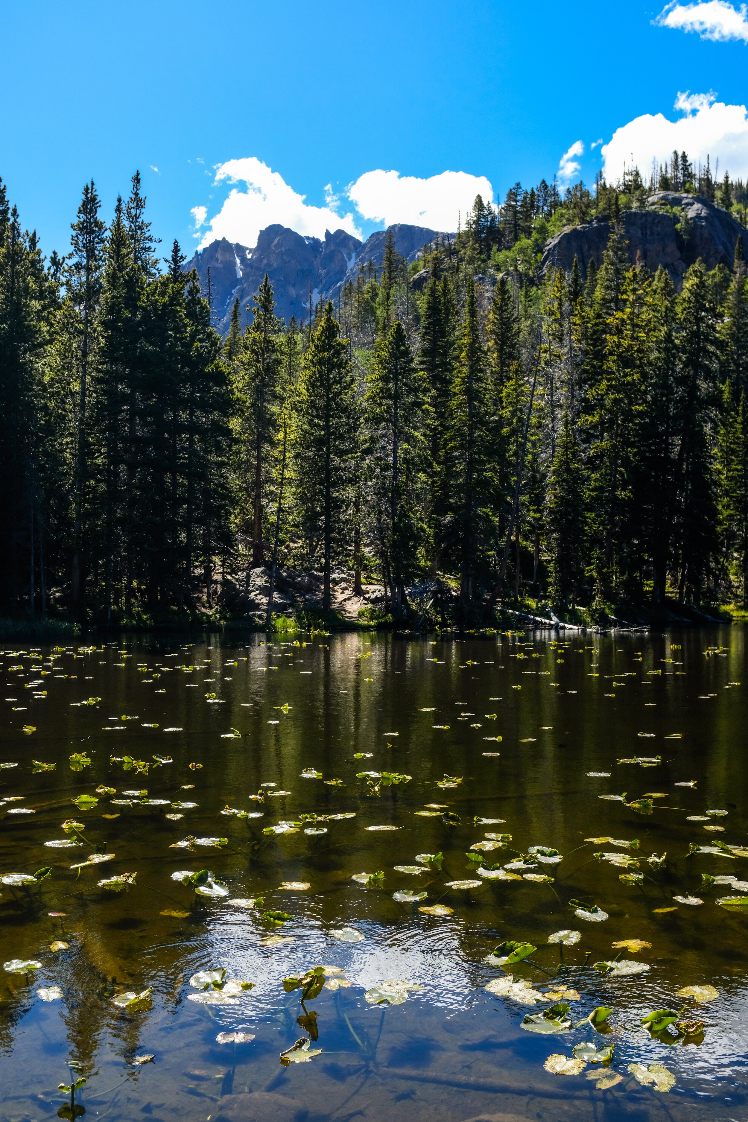Colorado2026-davidscottophoto-57.JPG