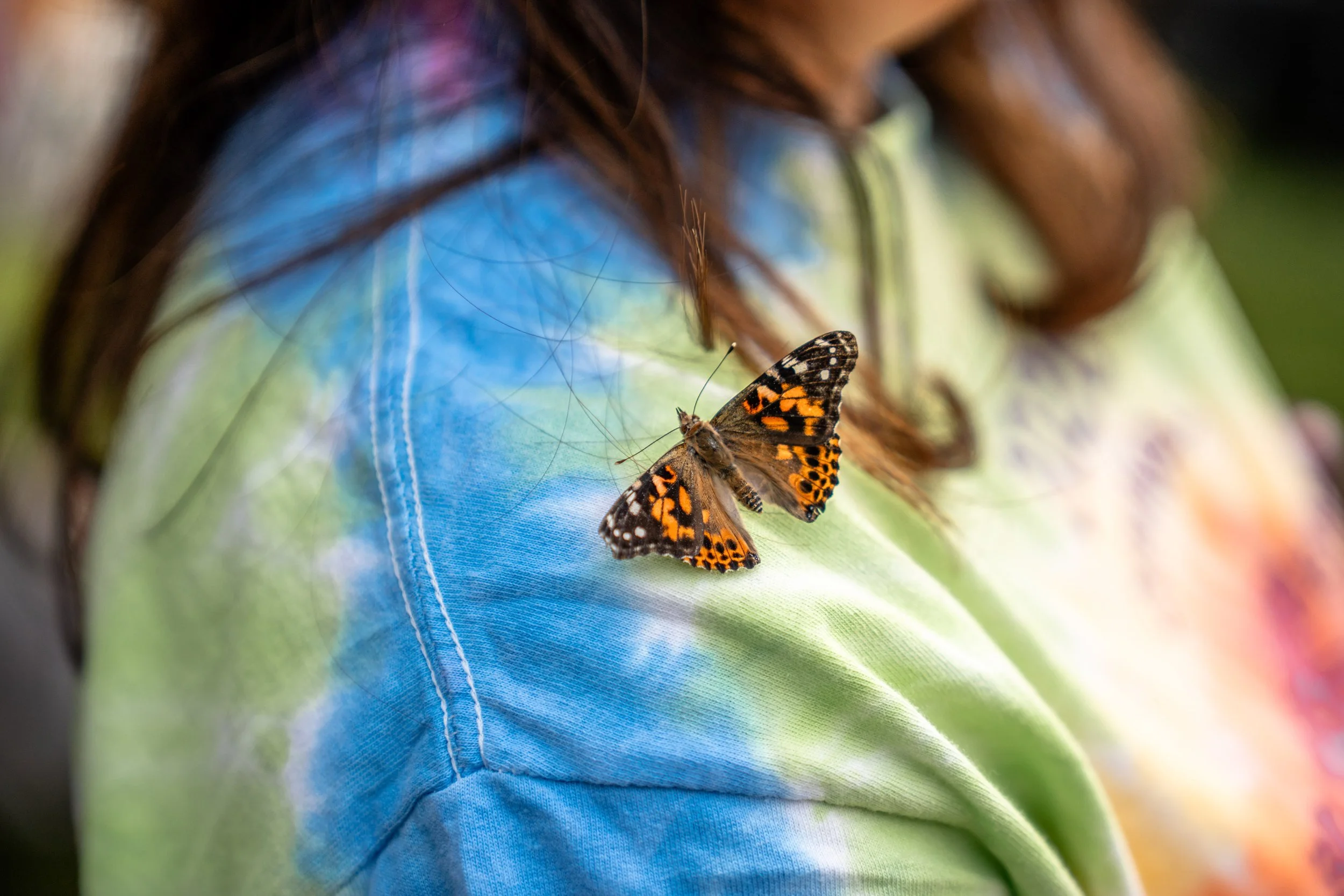 RelayforLife2026-davidscottophoto-13.JPG