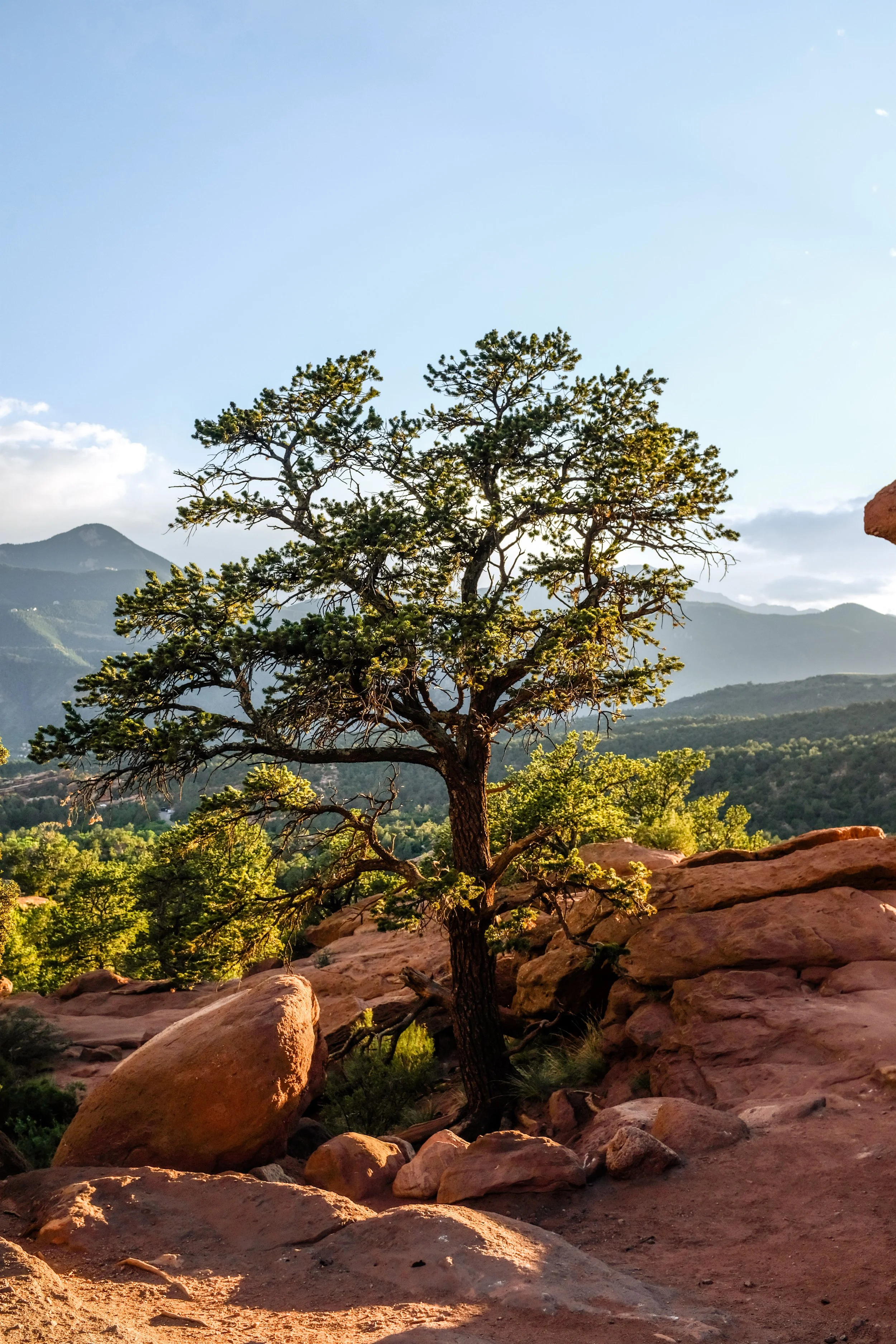 Colorado2026-davidscottophoto-90.JPG