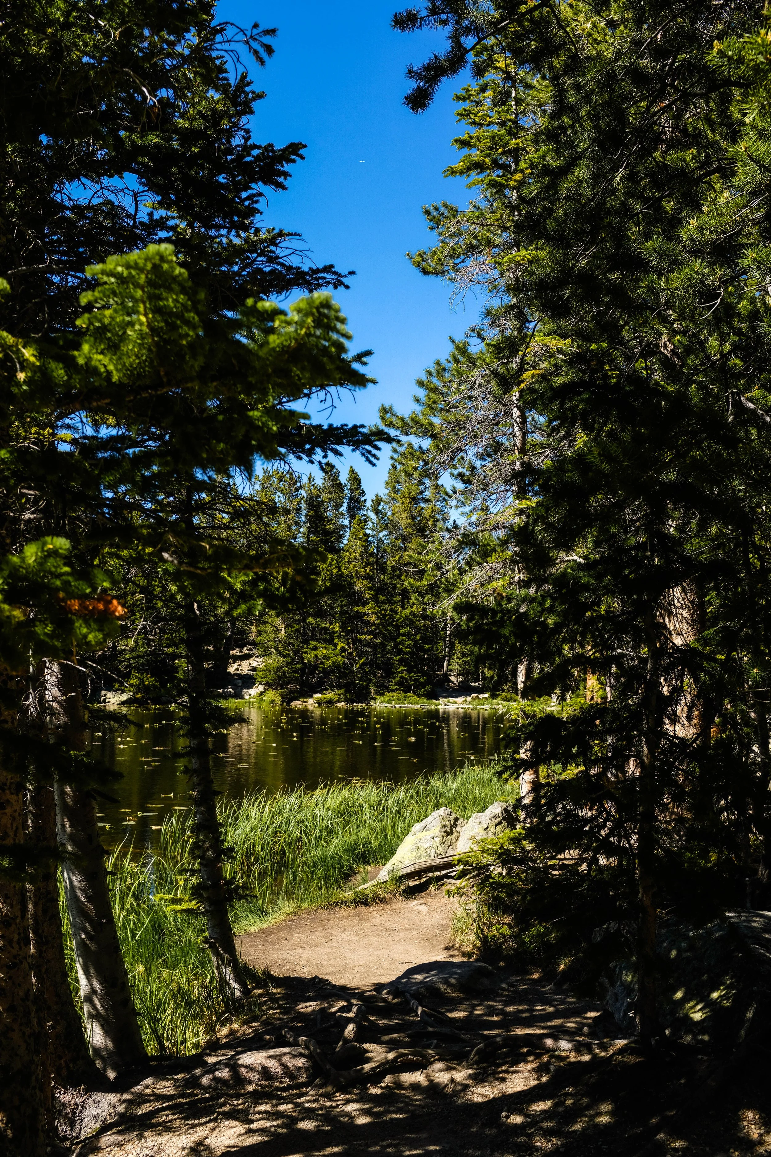 Colorado2026-davidscottophoto-59.JPG