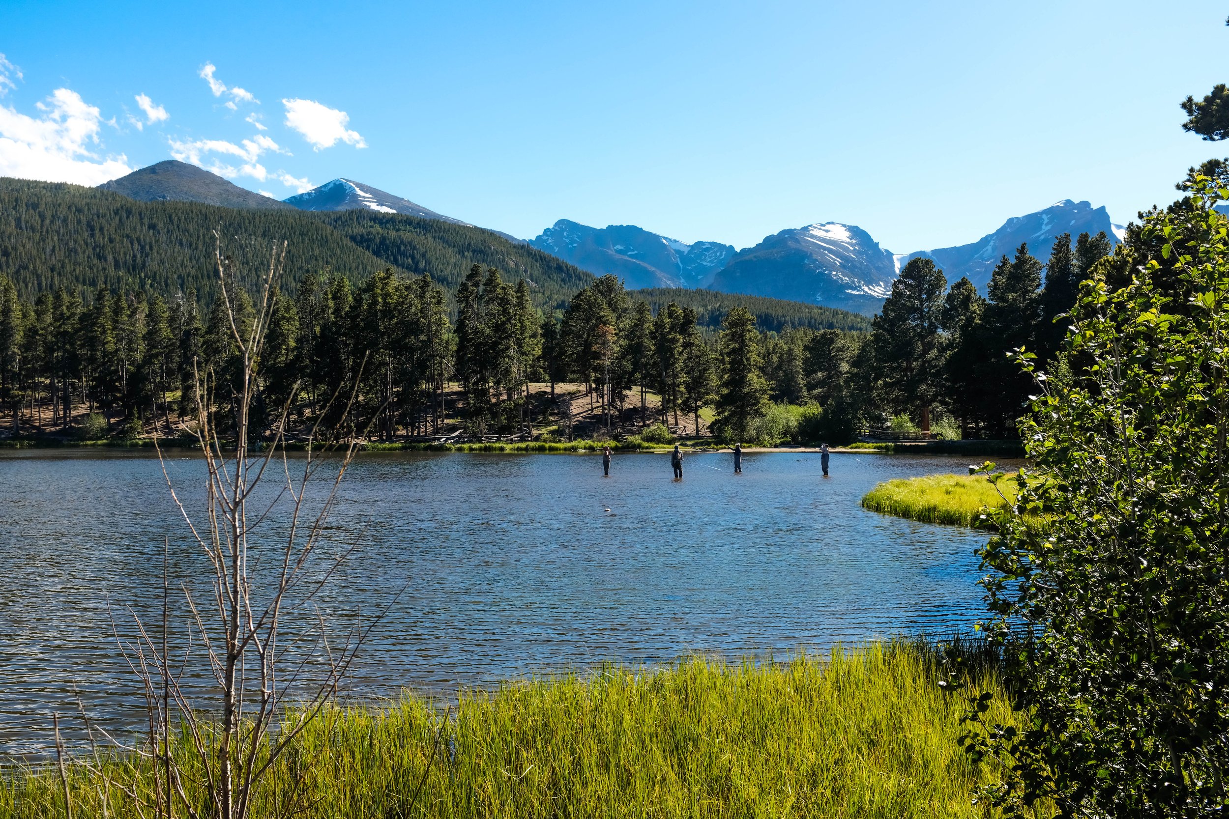 Colorado2026-davidscottophoto-73.JPG