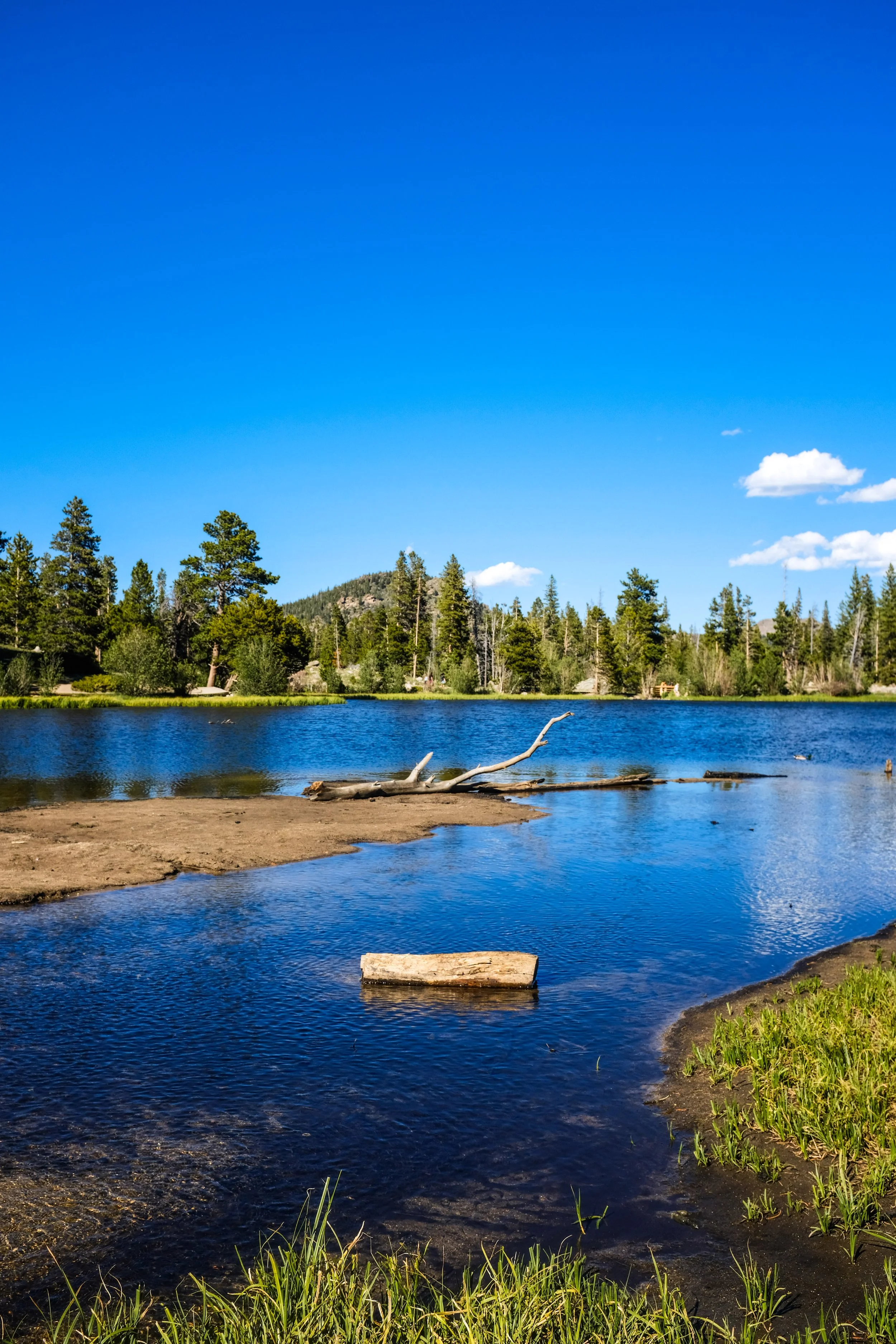 Colorado2026-davidscottophoto-61.JPG