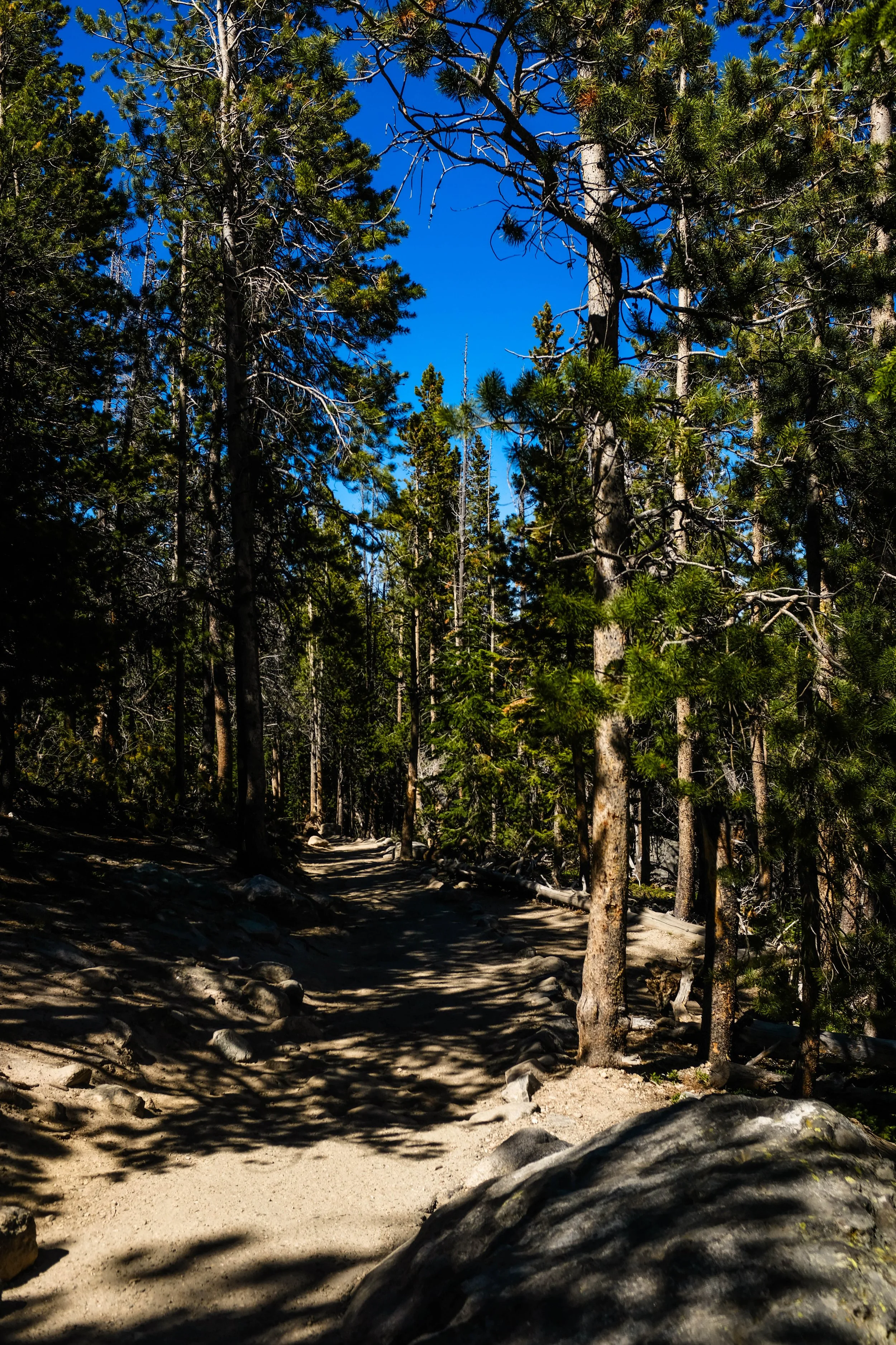 Colorado2026-davidscottophoto-56.JPG
