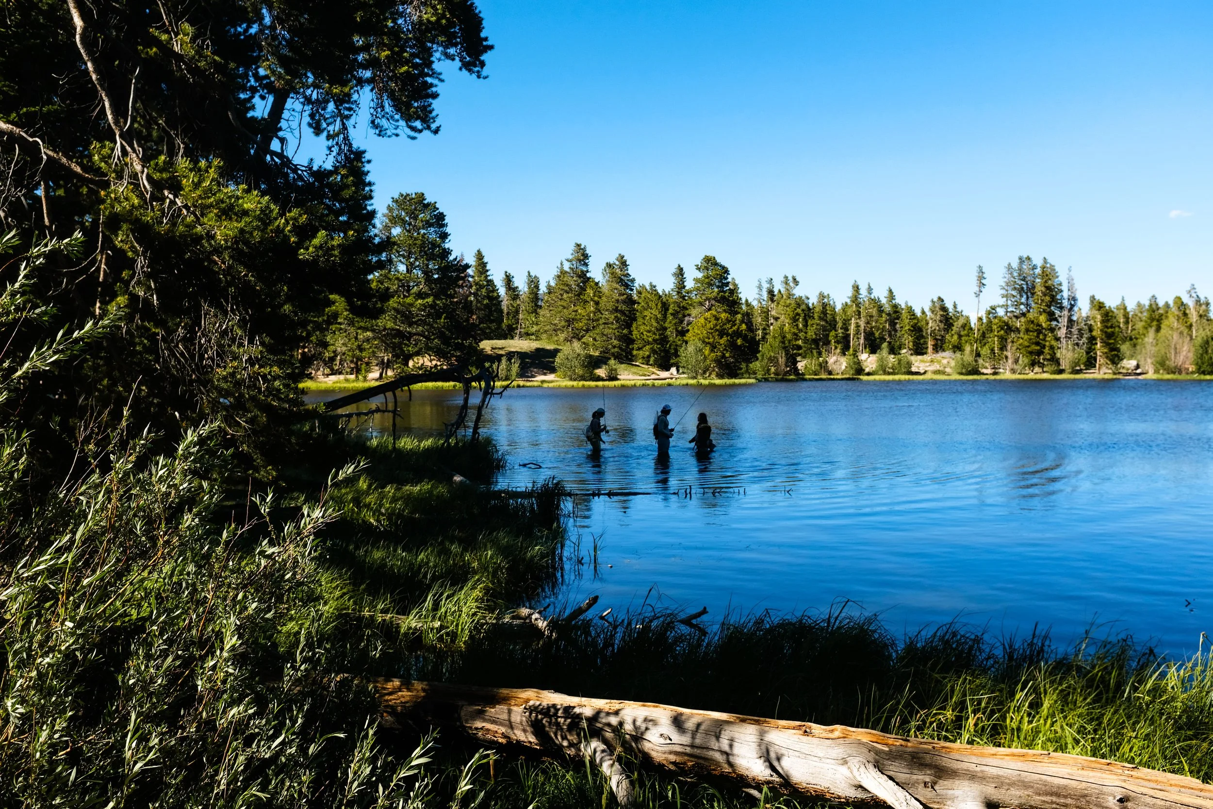 Colorado2026-davidscottophoto-63.JPG