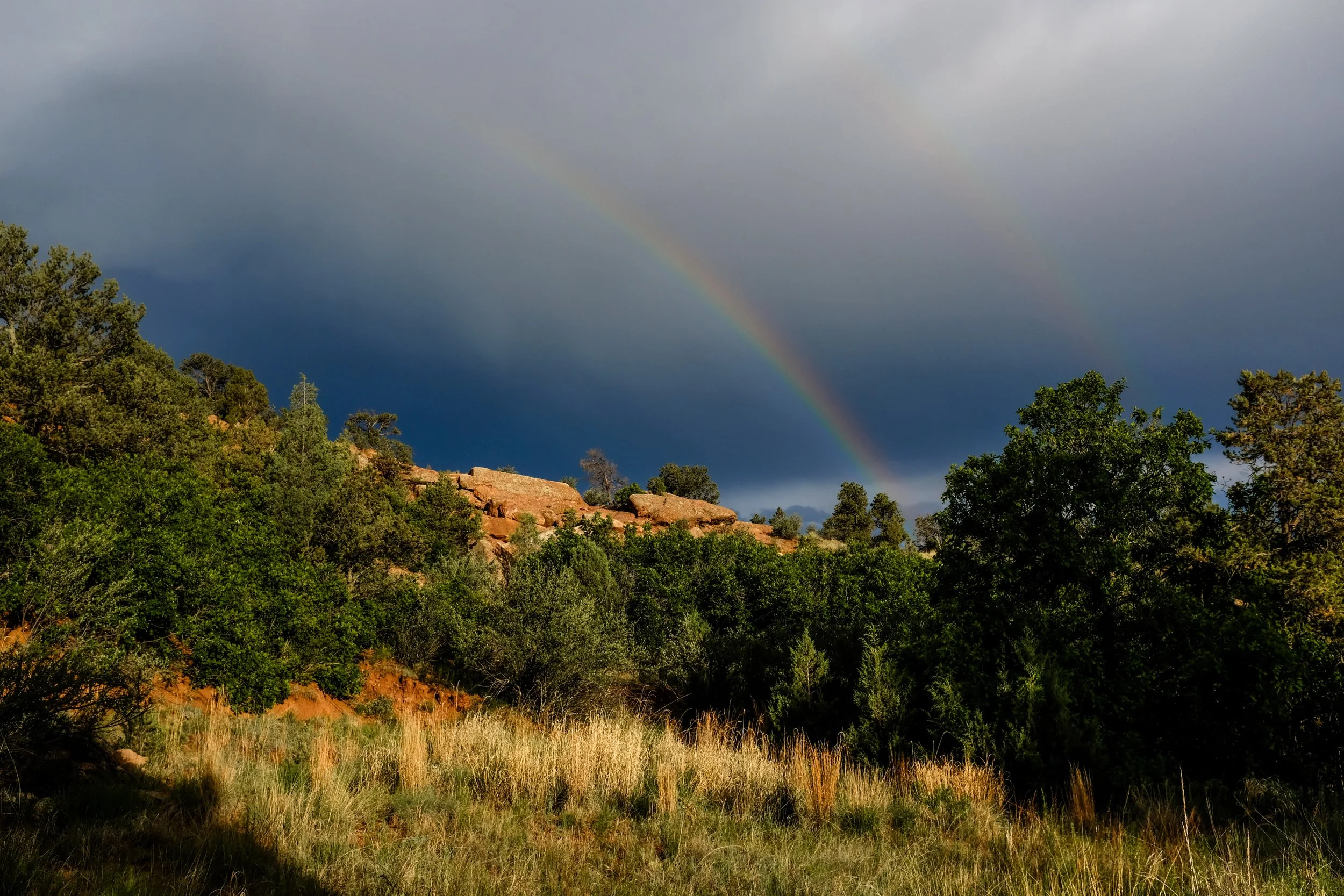 Colorado2026-davidscottophoto-79.JPG