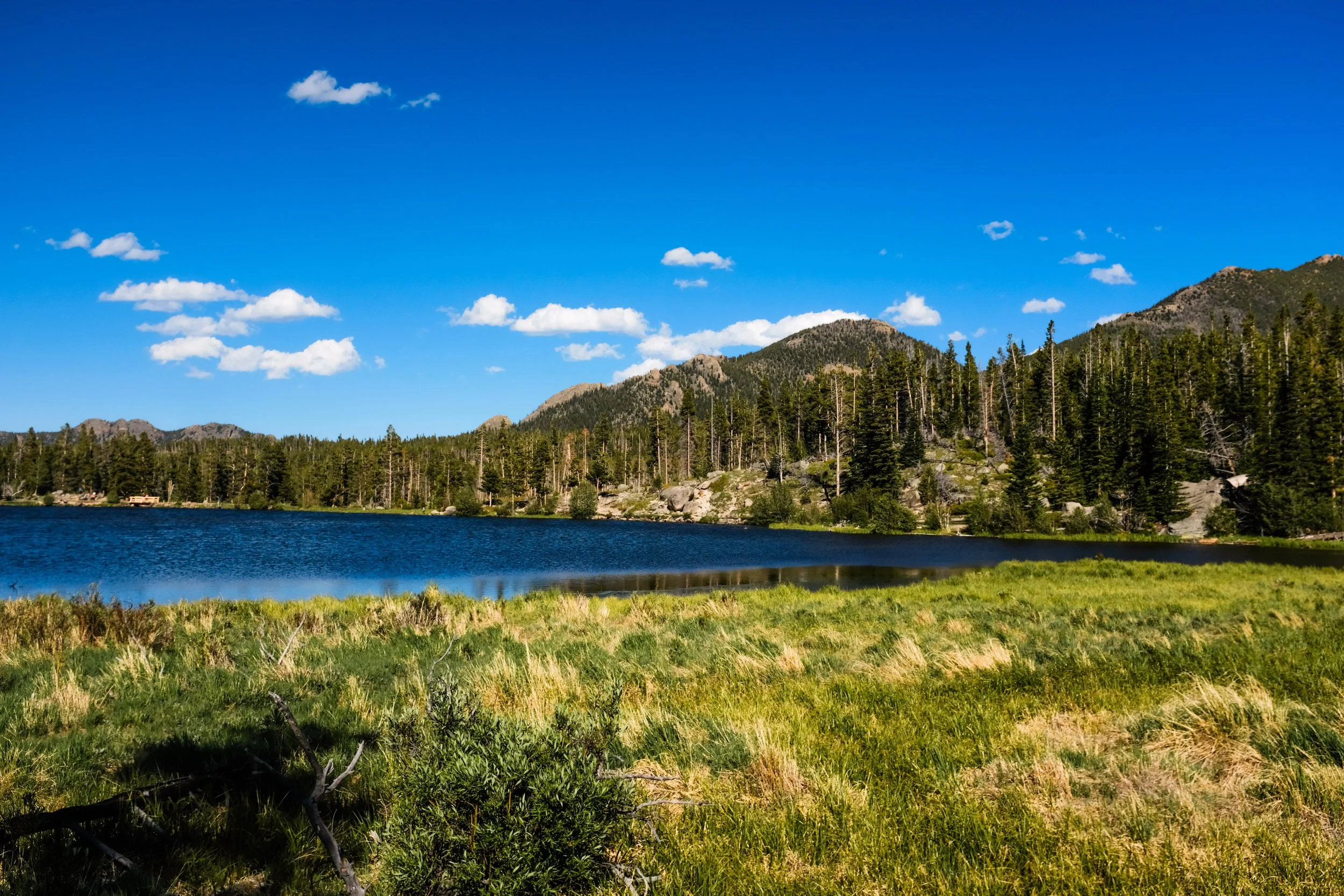 Colorado2026-davidscottophoto-64.JPG