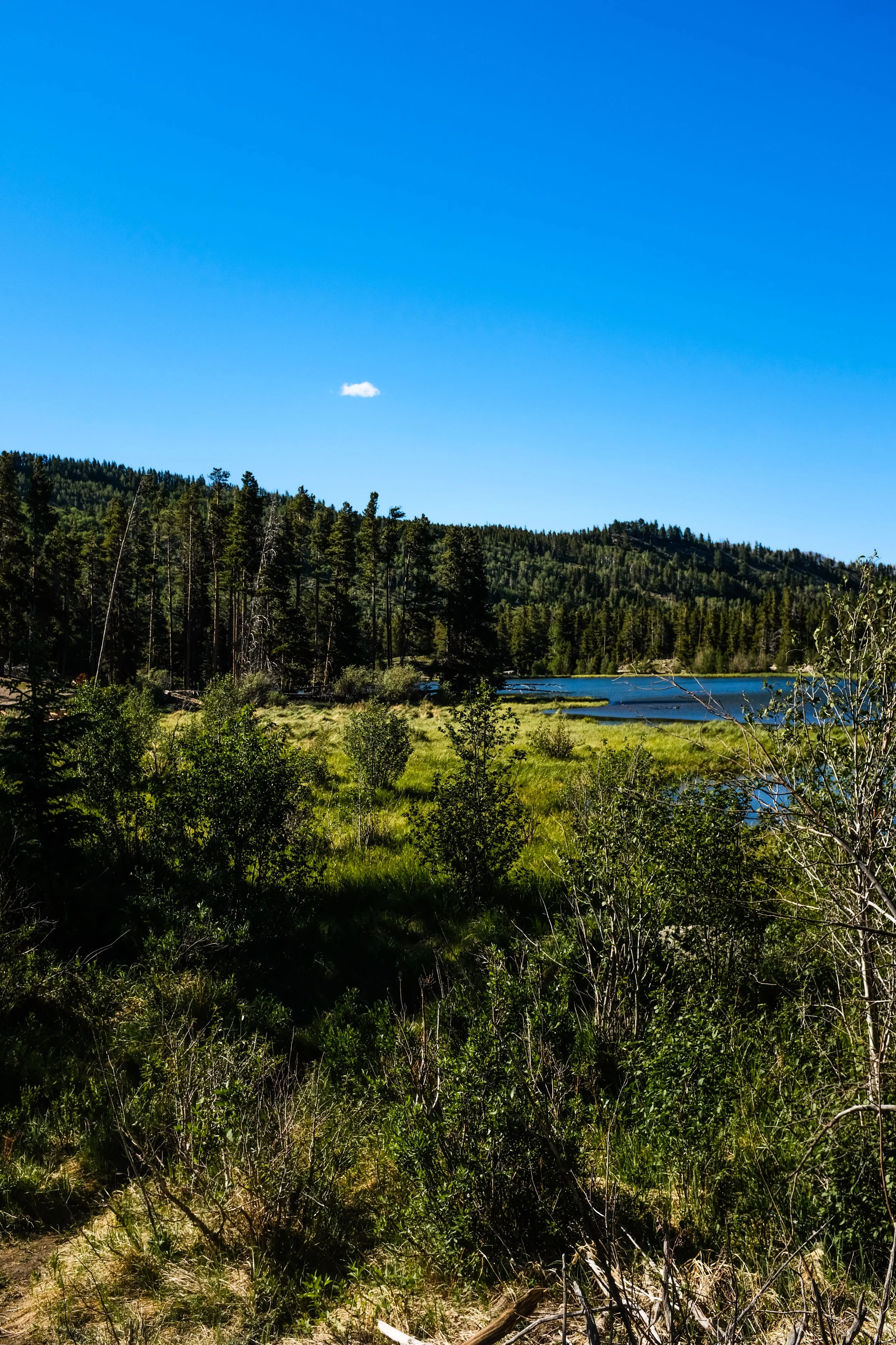 Colorado2026-davidscottophoto-65.JPG