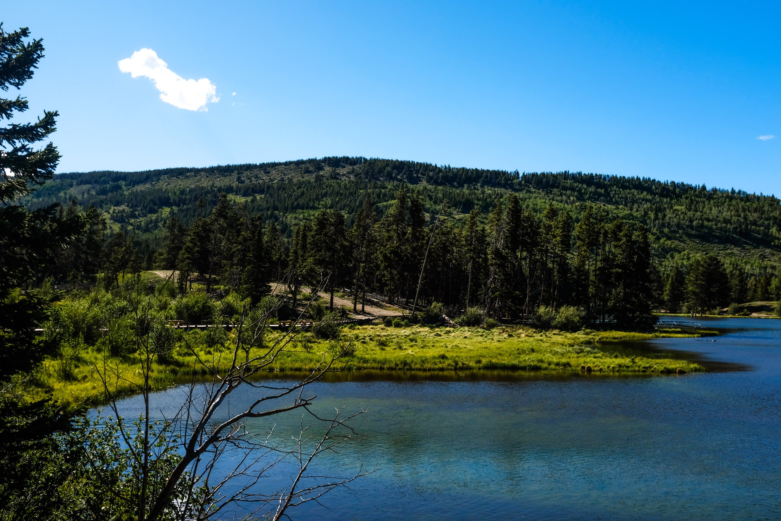 Colorado2026-davidscottophoto-67.JPG