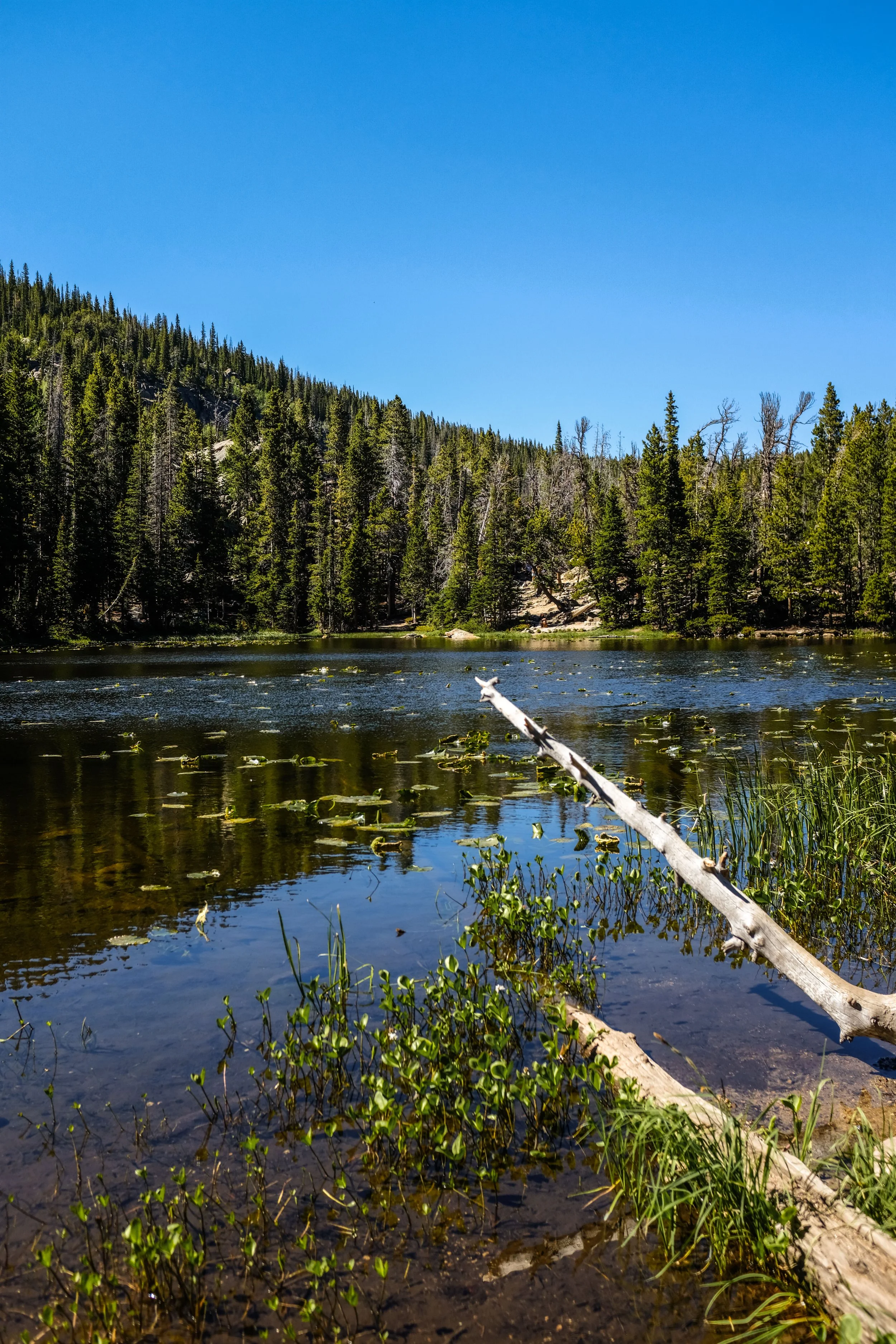 Colorado2026-davidscottophoto-58.JPG