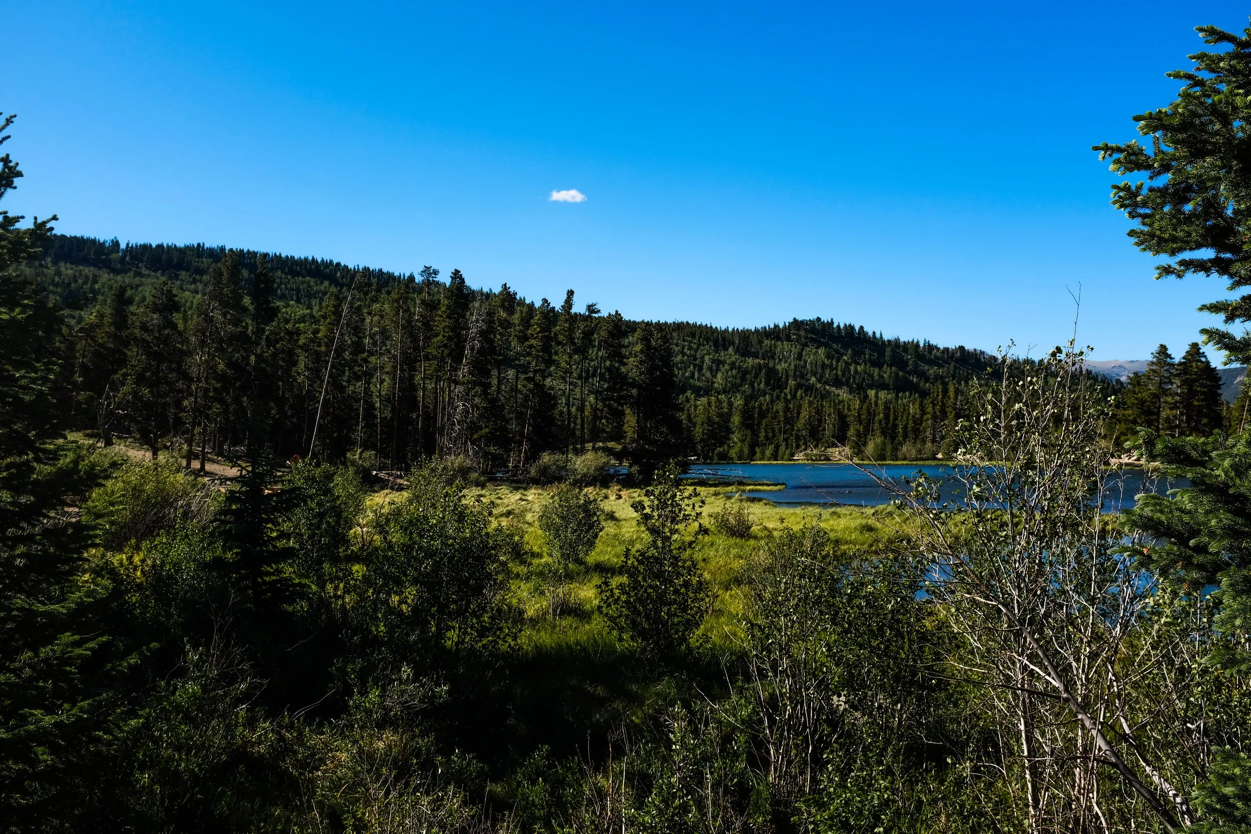 Colorado2026-davidscottophoto-66.JPG
