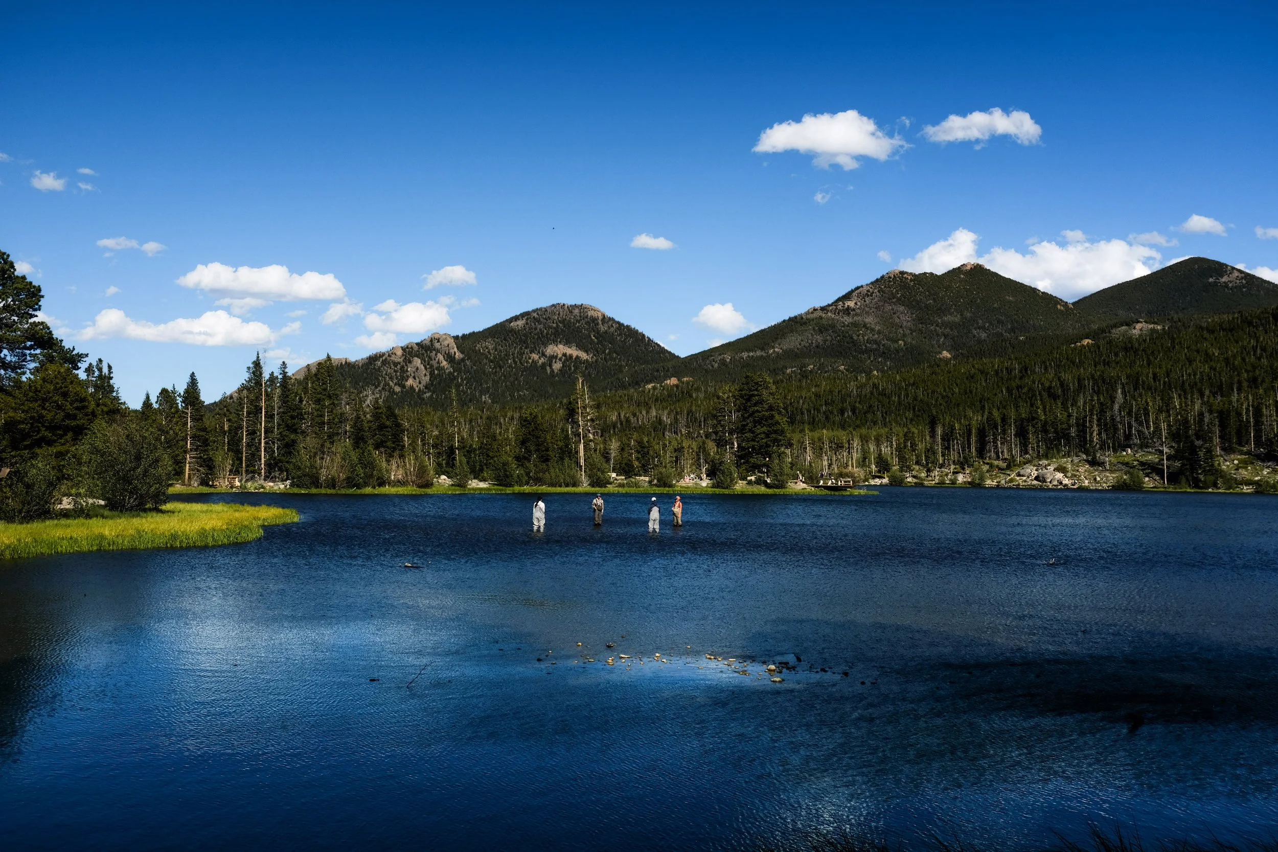 Colorado2026-davidscottophoto-76.JPG