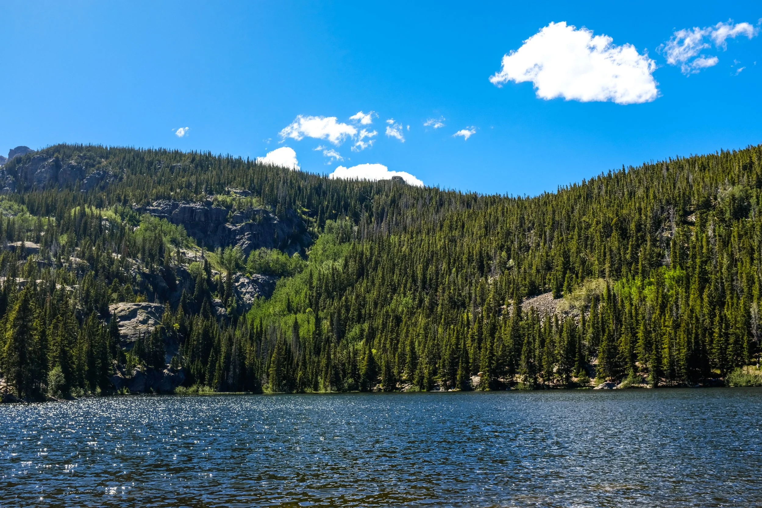 Colorado2026-davidscottophoto-51.JPG