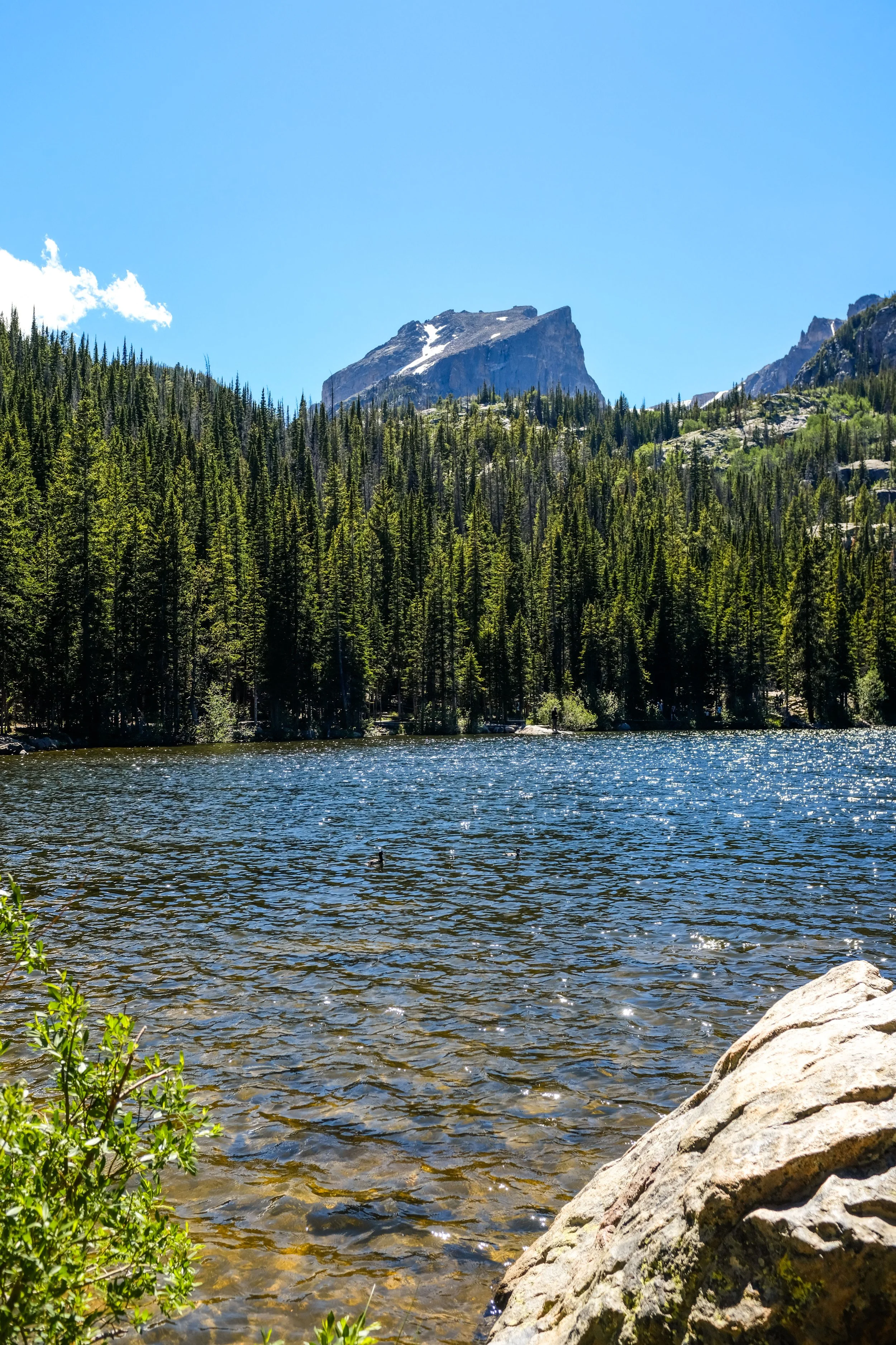 Colorado2026-davidscottophoto-53.JPG