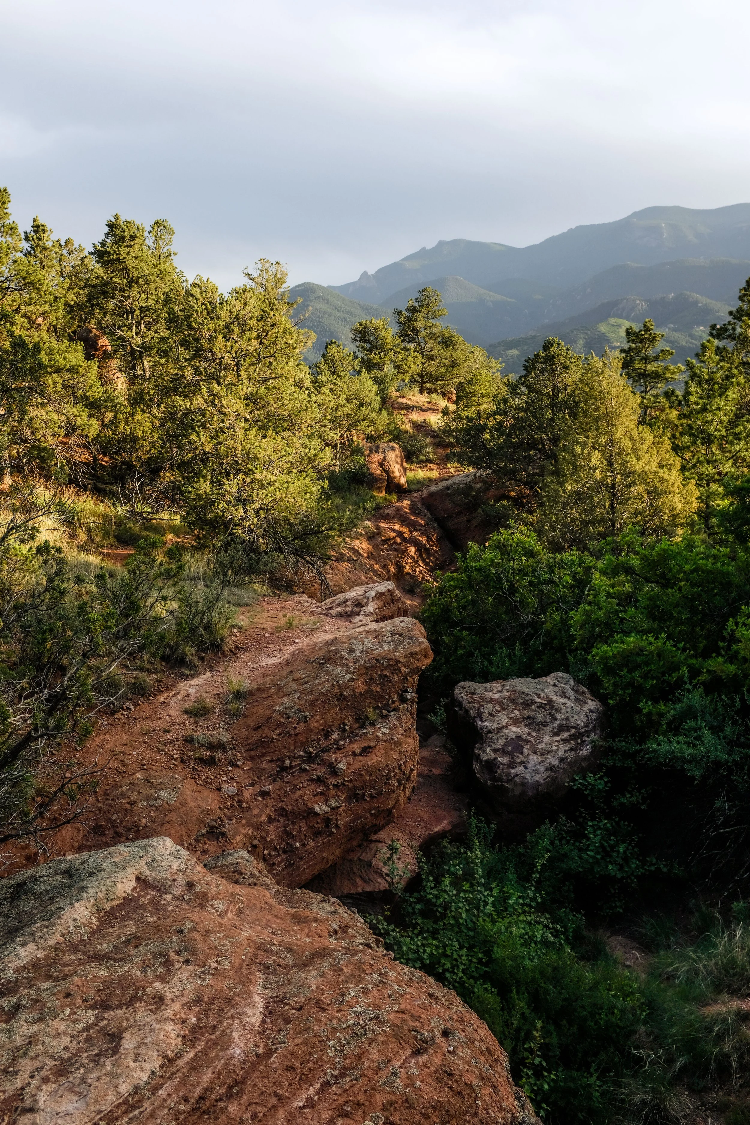 Colorado2026-davidscottophoto-85.JPG