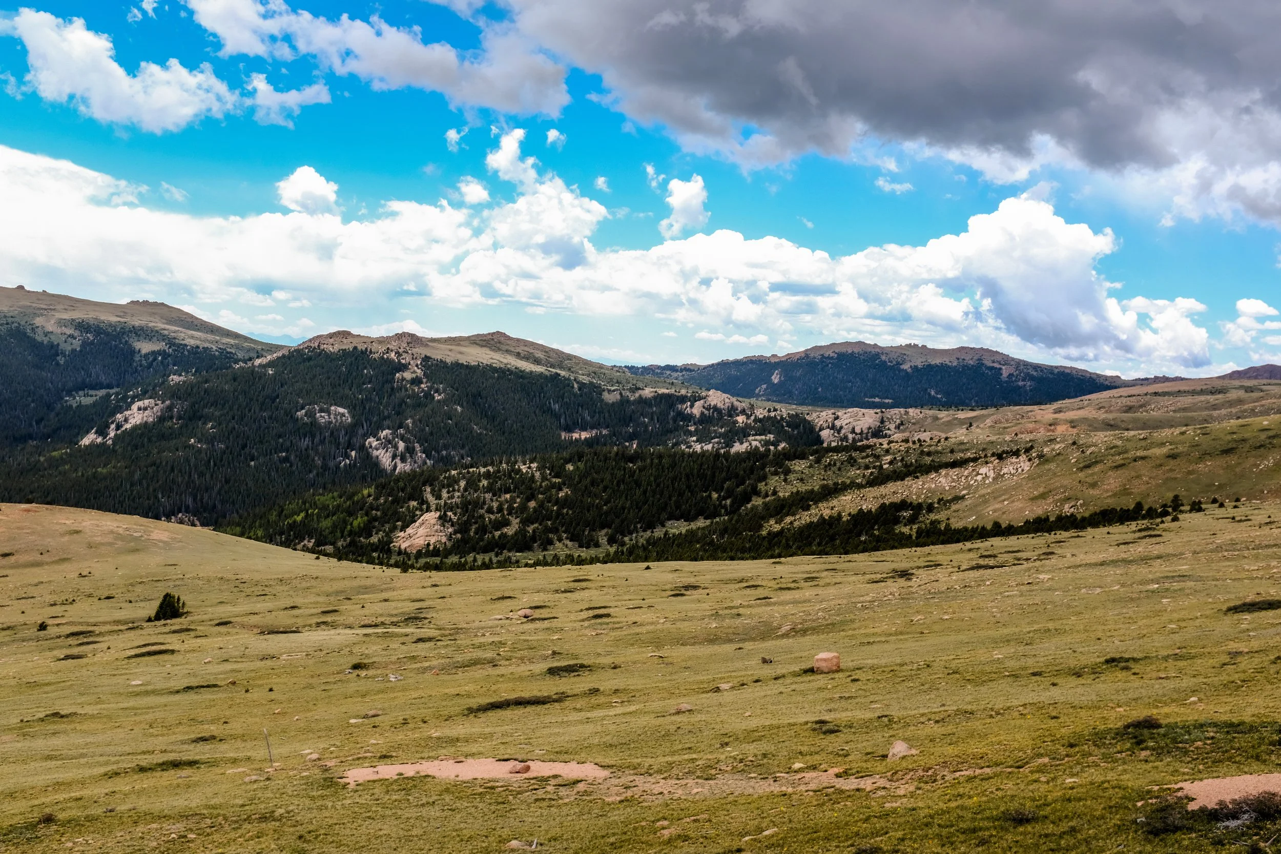Colorado2026-davidscottophoto-128.JPG