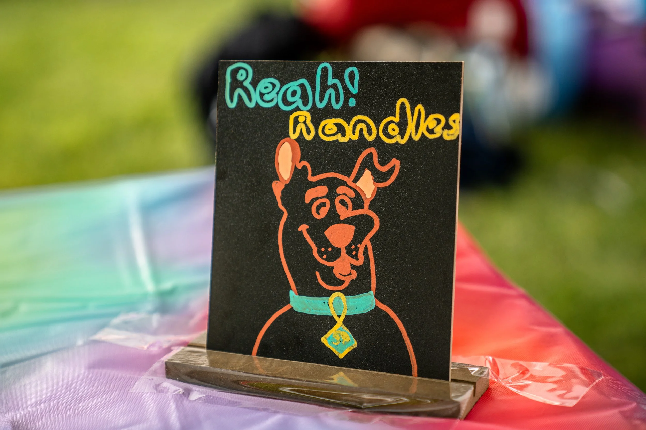 RelayforLife2026-davidscottophoto-8.JPG