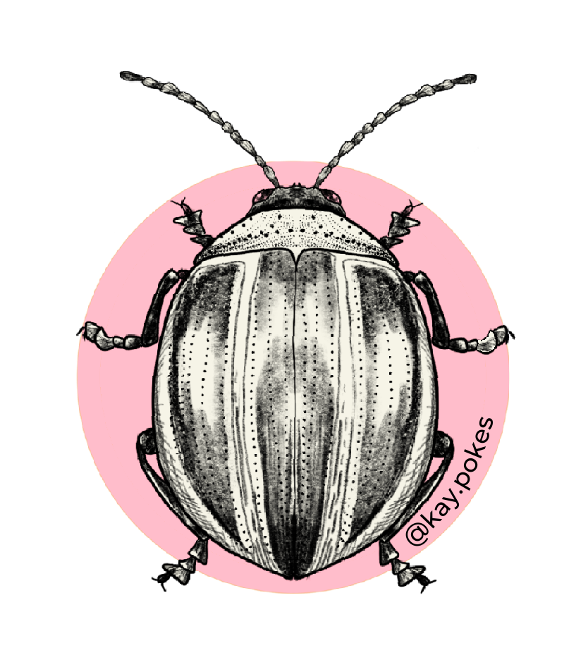 pink stinker sticker.png