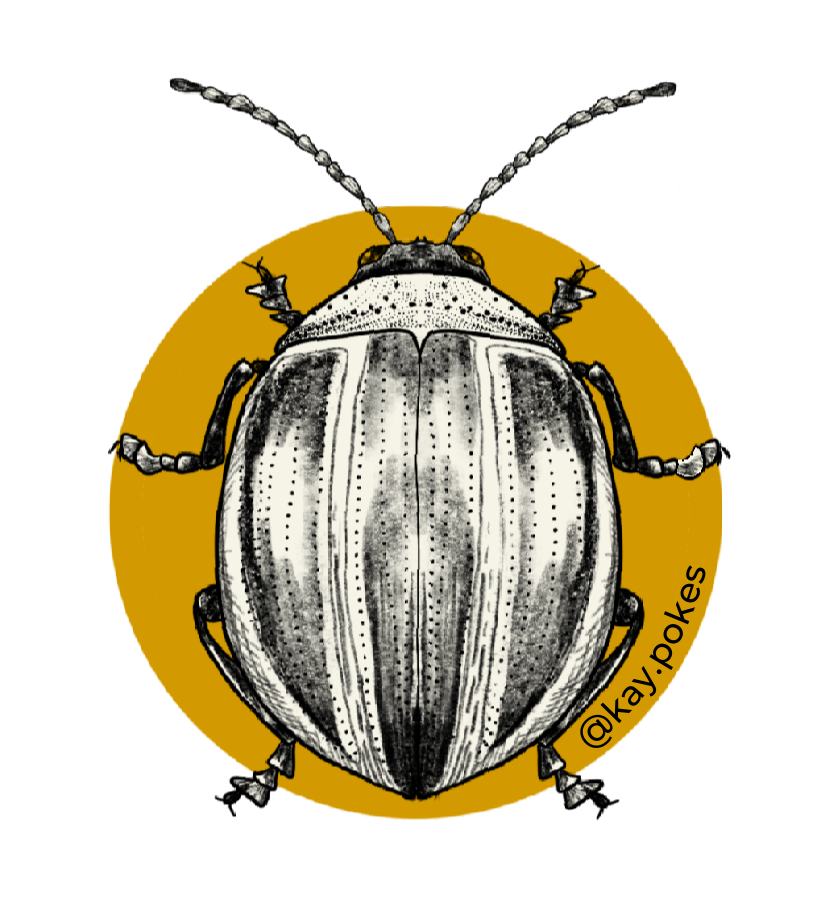 yellow stinker sticker.png