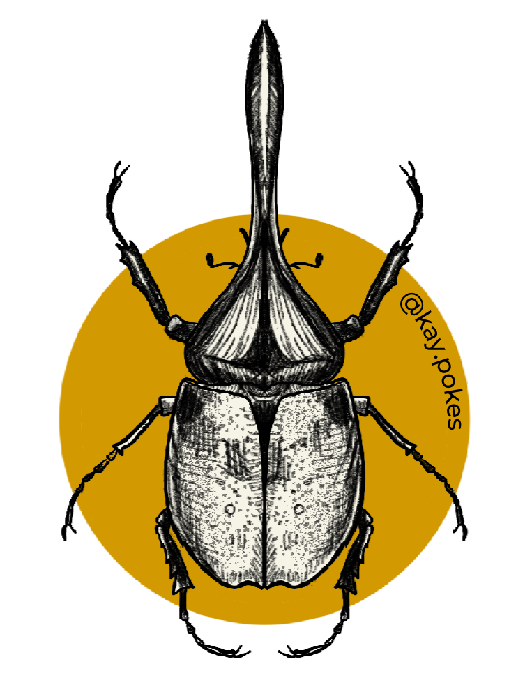 yellow stag sticker.png