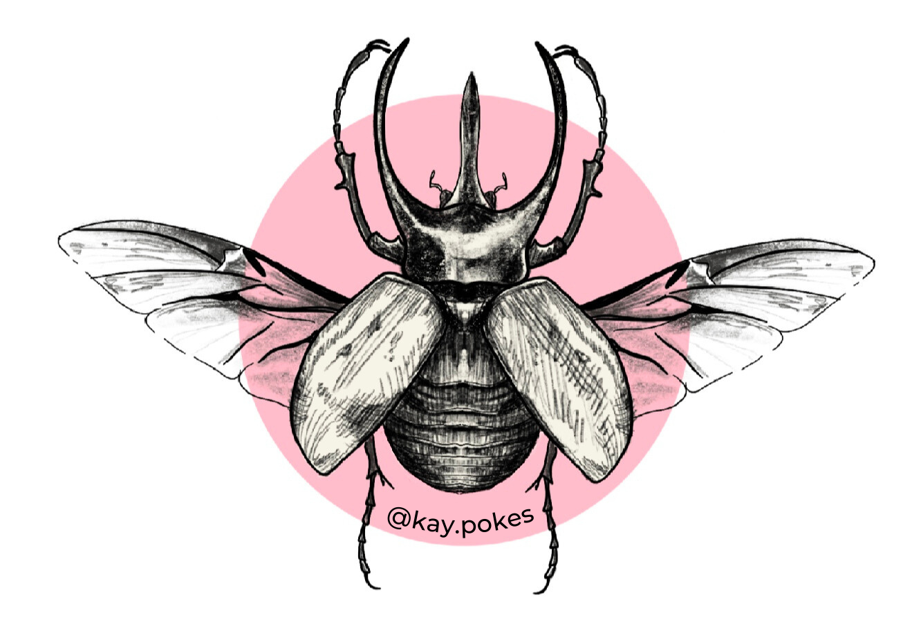 pink beetle sticker.png